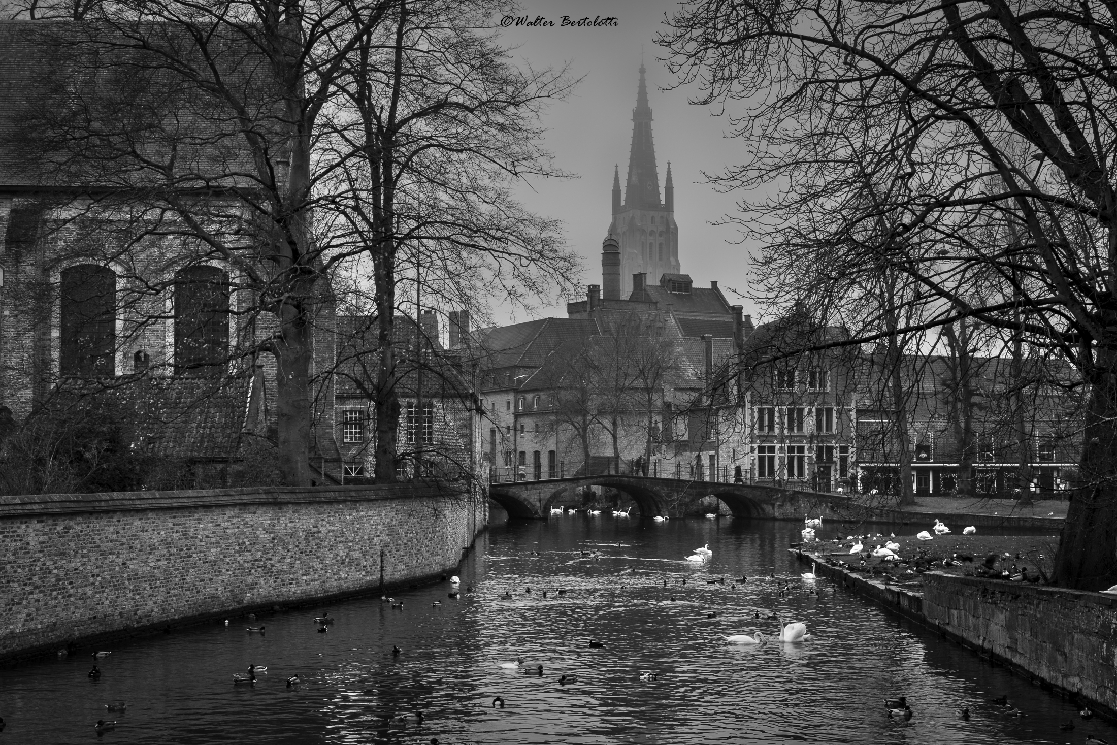 Bruges, città di storia e acqua...