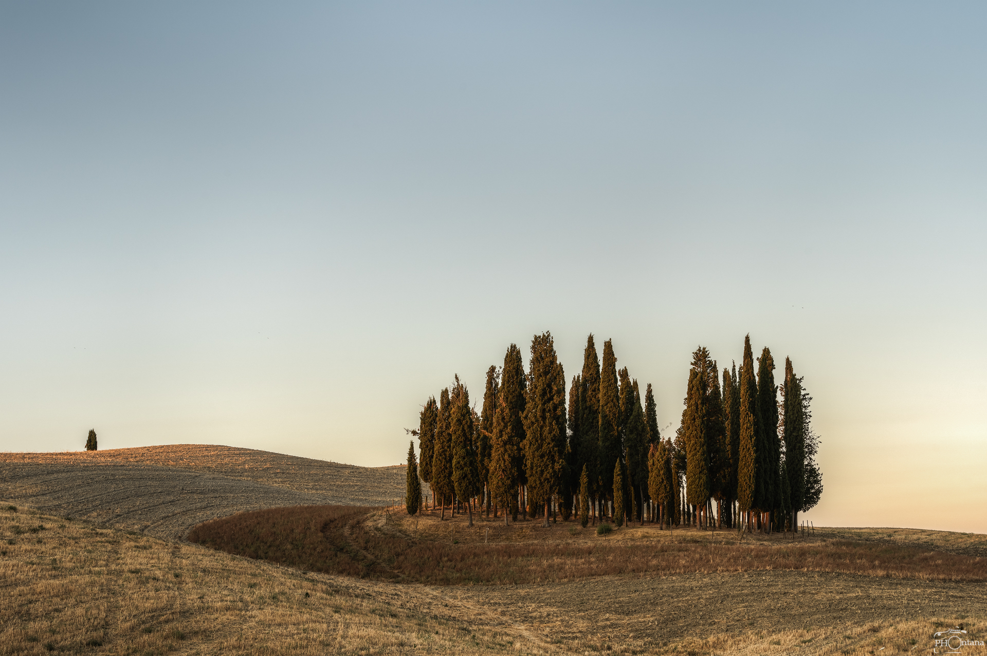 The Cypresses of San Quirico and an Intruder...