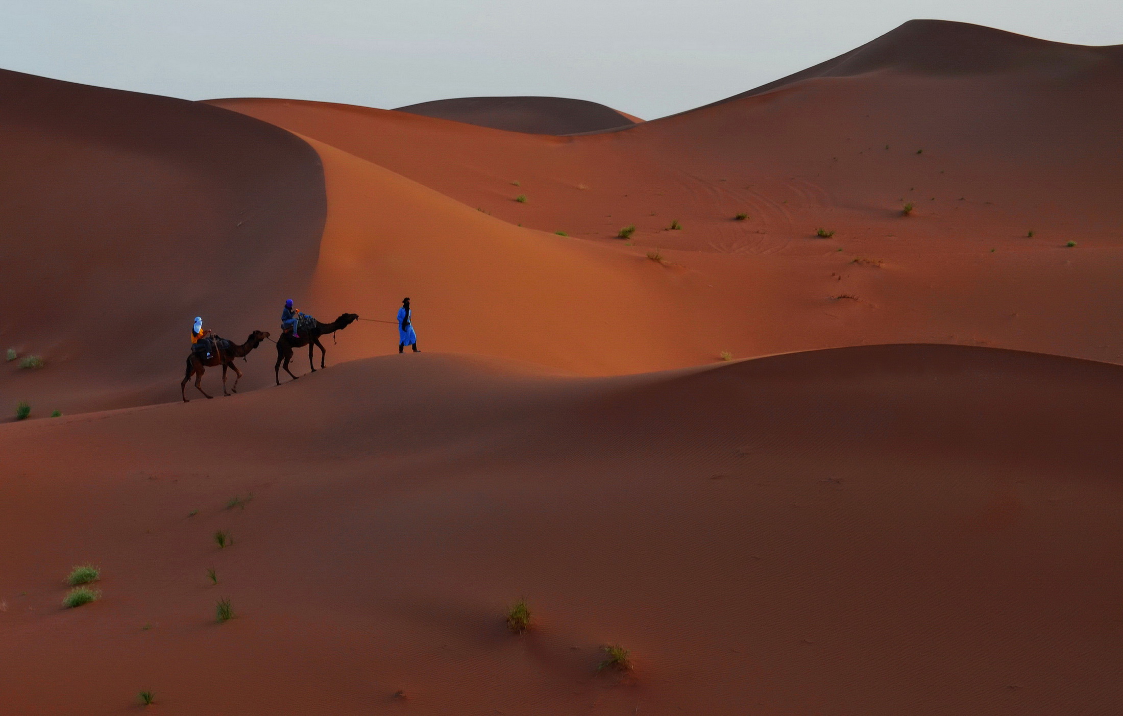 Dune rosse (desrto del Marocco)...