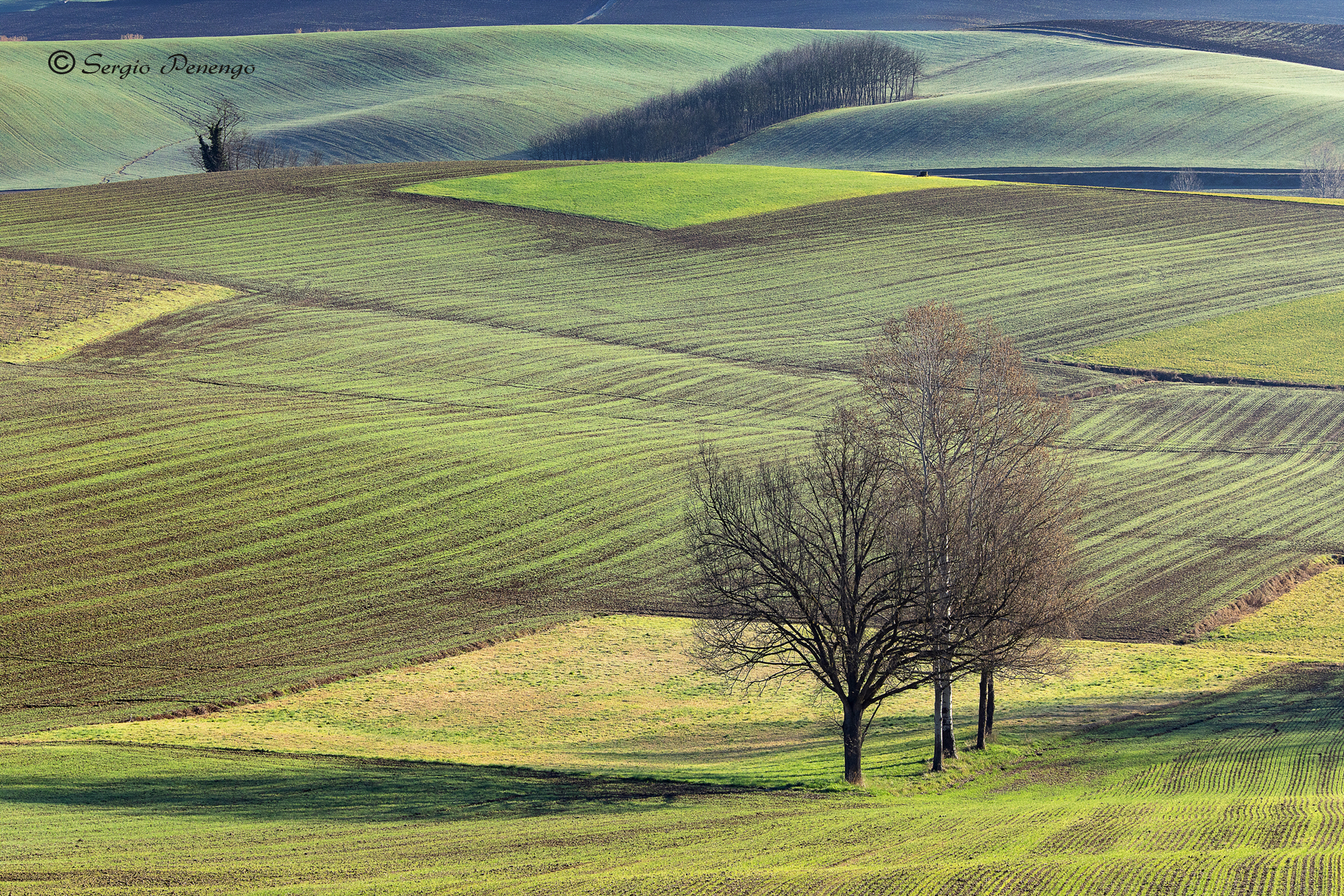Landscape of the Monferrato 2...