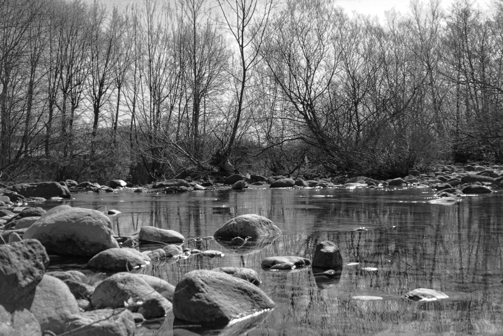Black and white at the creek....