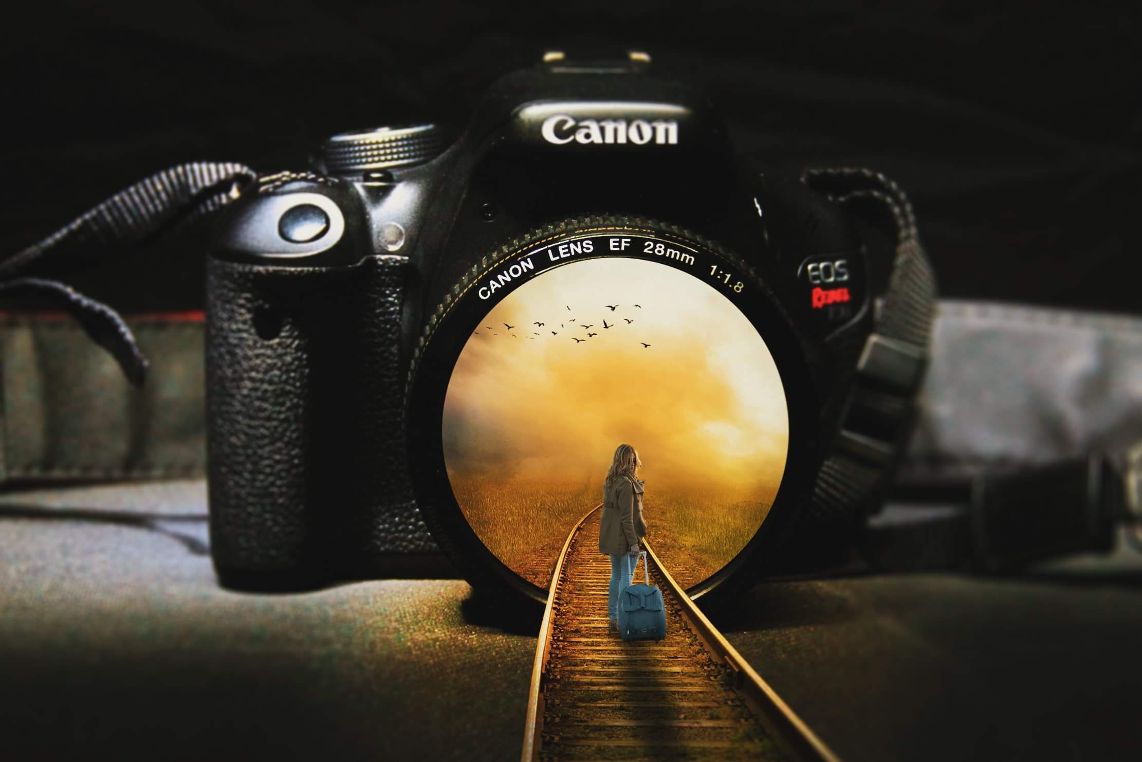 Let's enter the world of photography......