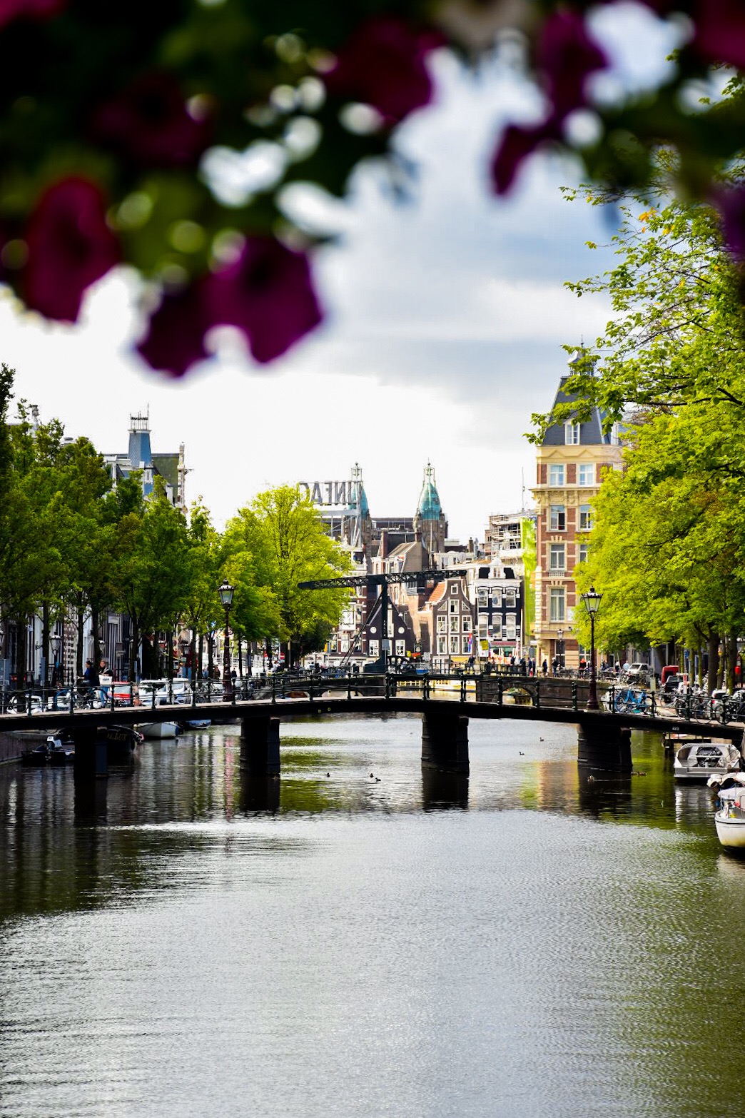 Amsterdam's canals ...