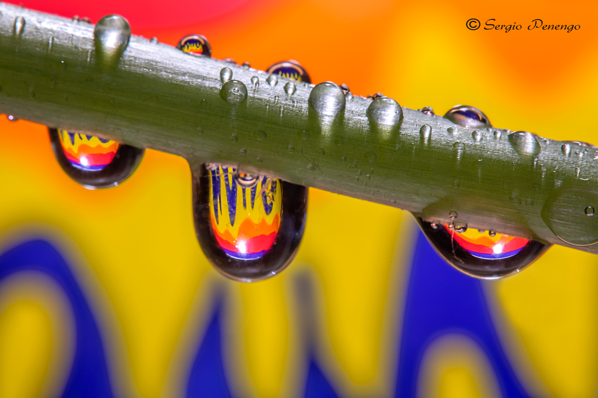 Drops  with reflection...