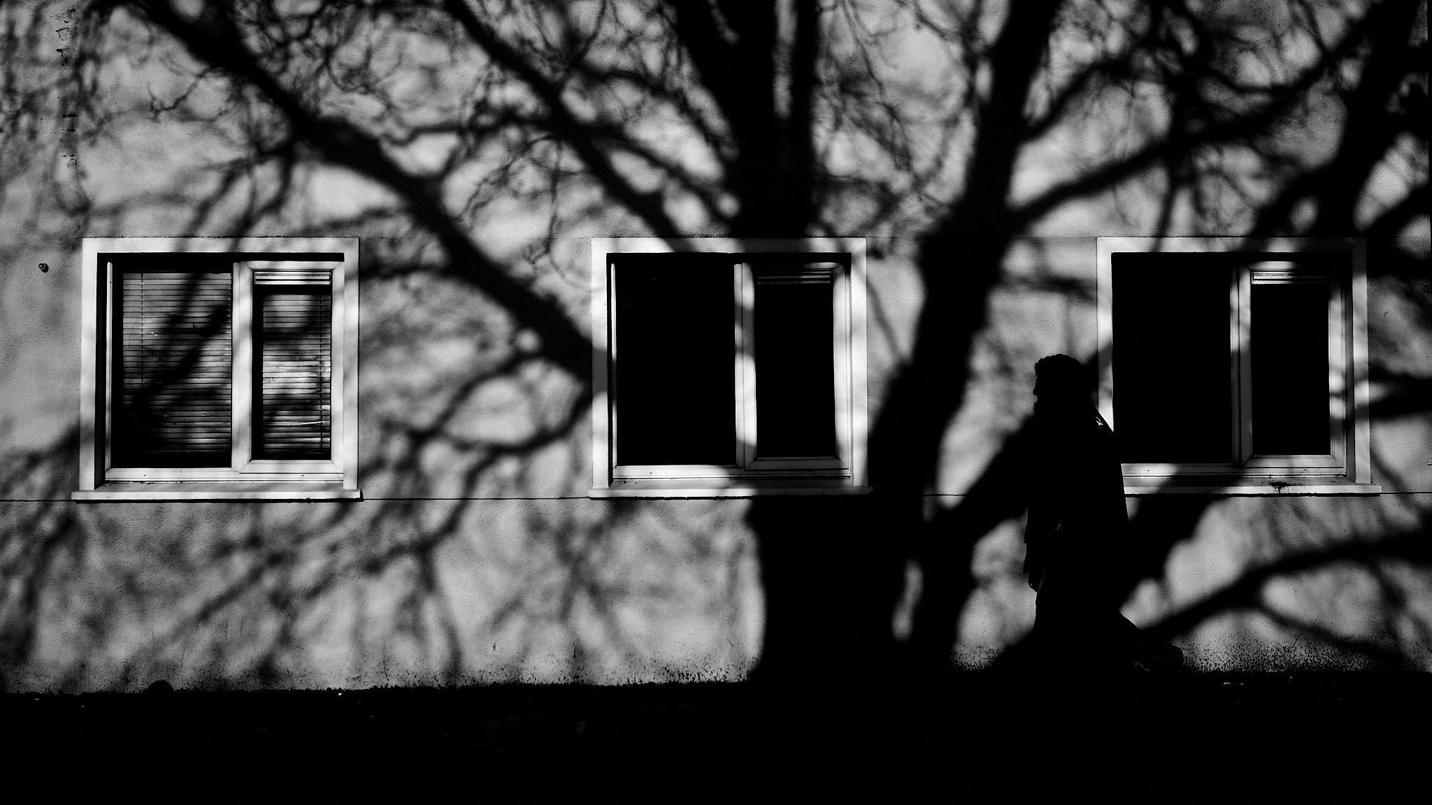 figure in the shadow...