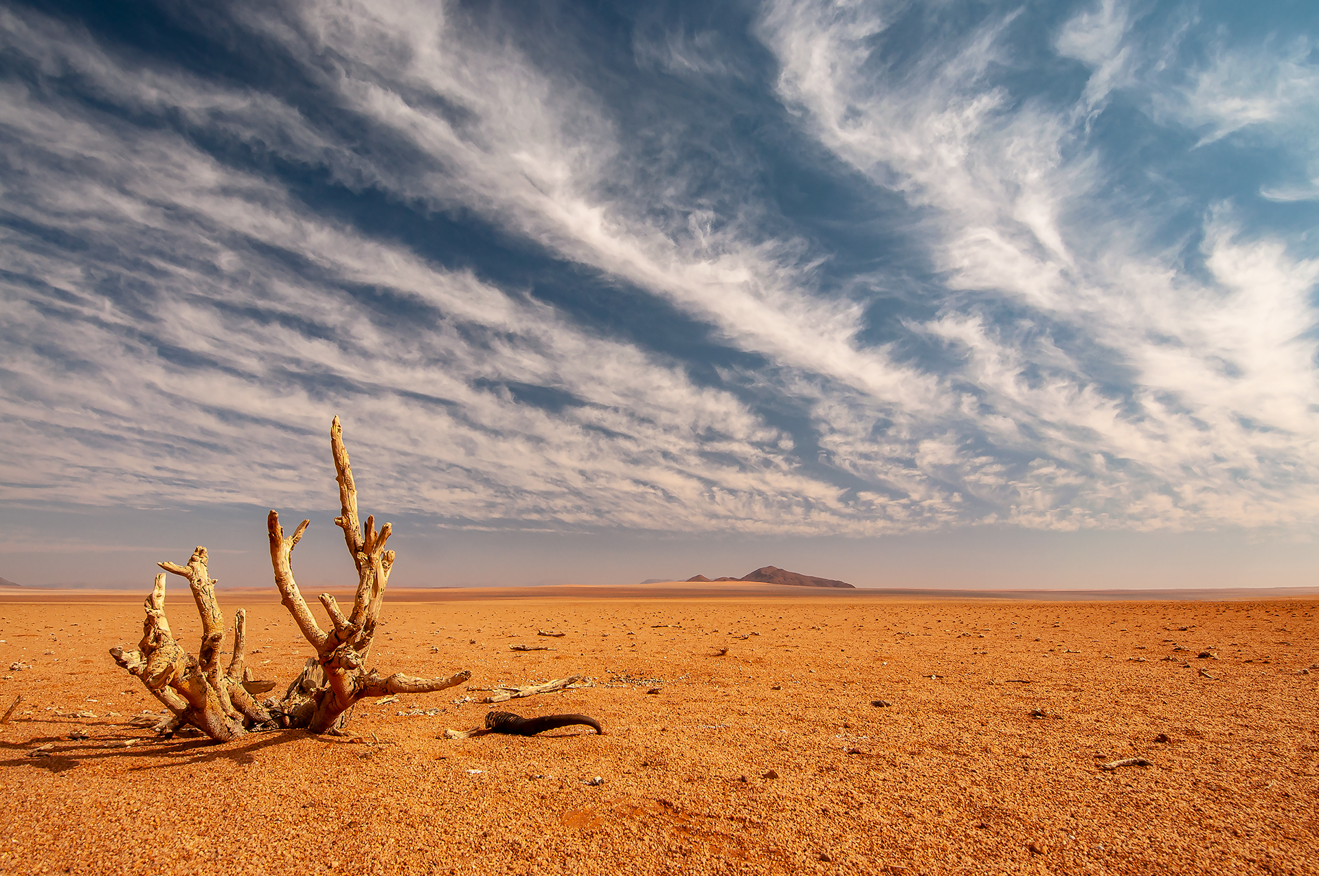 Namib Desert, New...