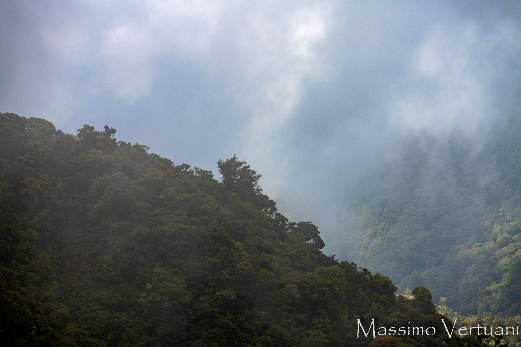 Foresta Nebulosa (Costarica)...