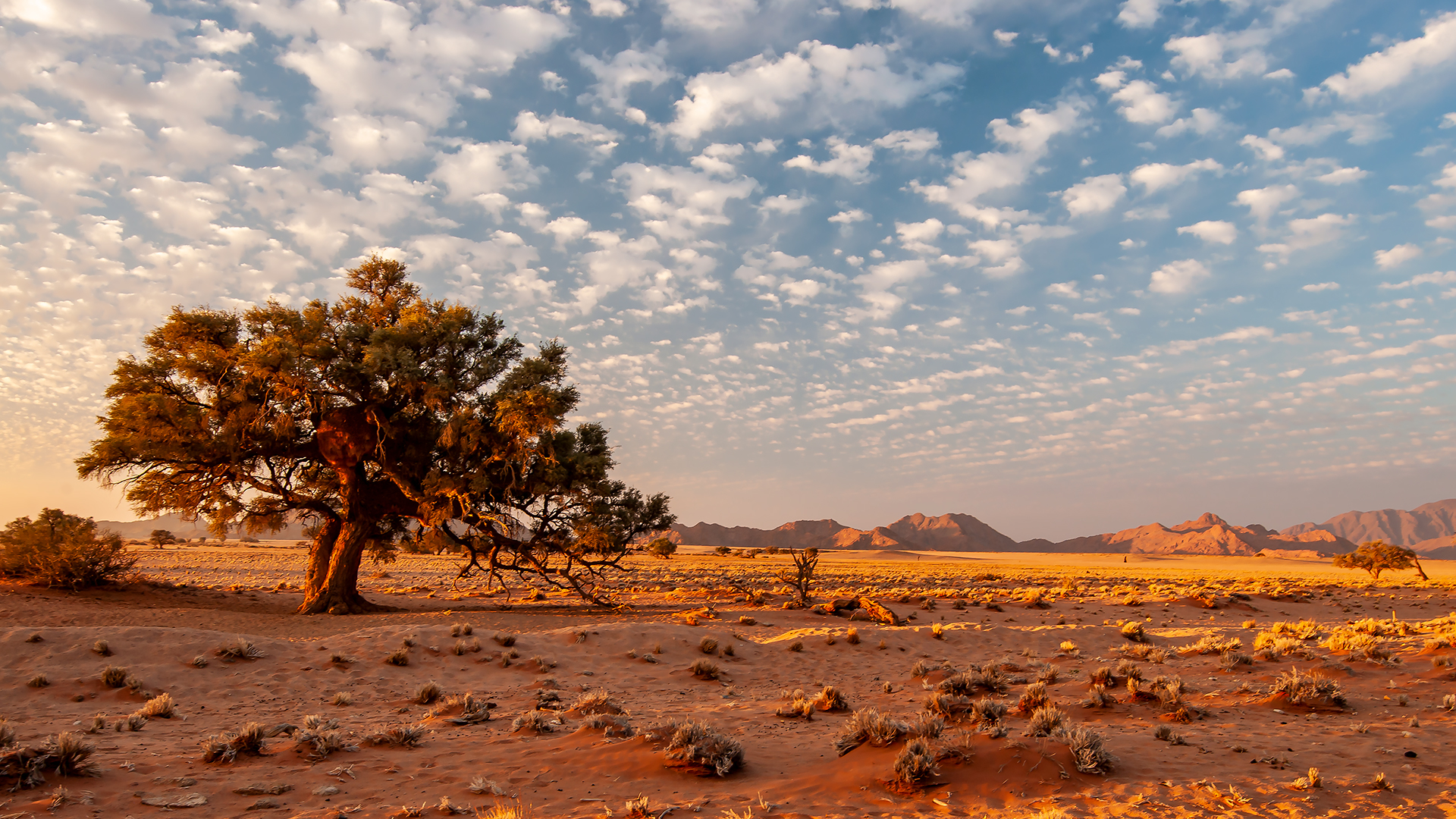 Namib Desert Sunset...