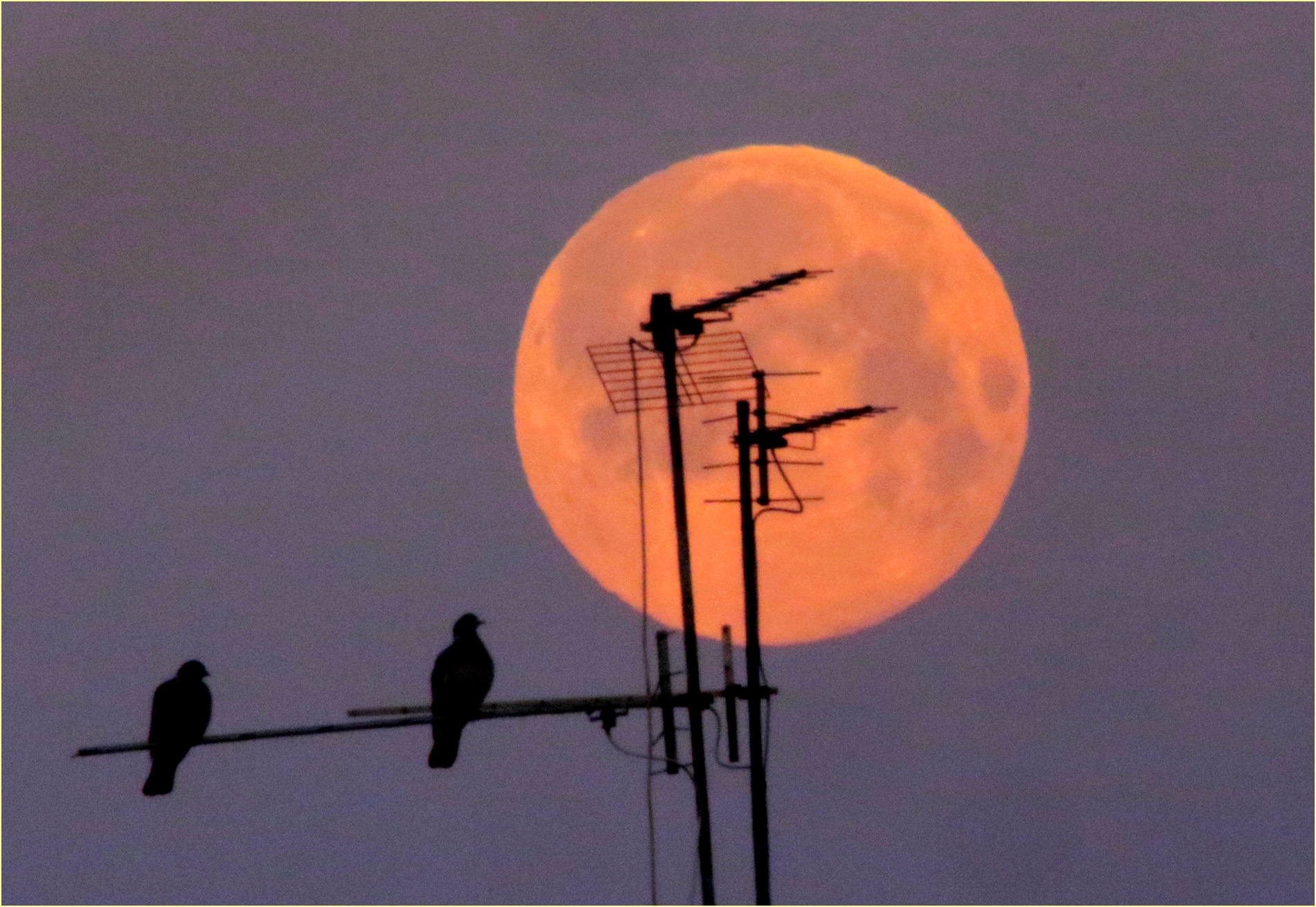 ,, Big Moon, dawn of 08.04.20,...