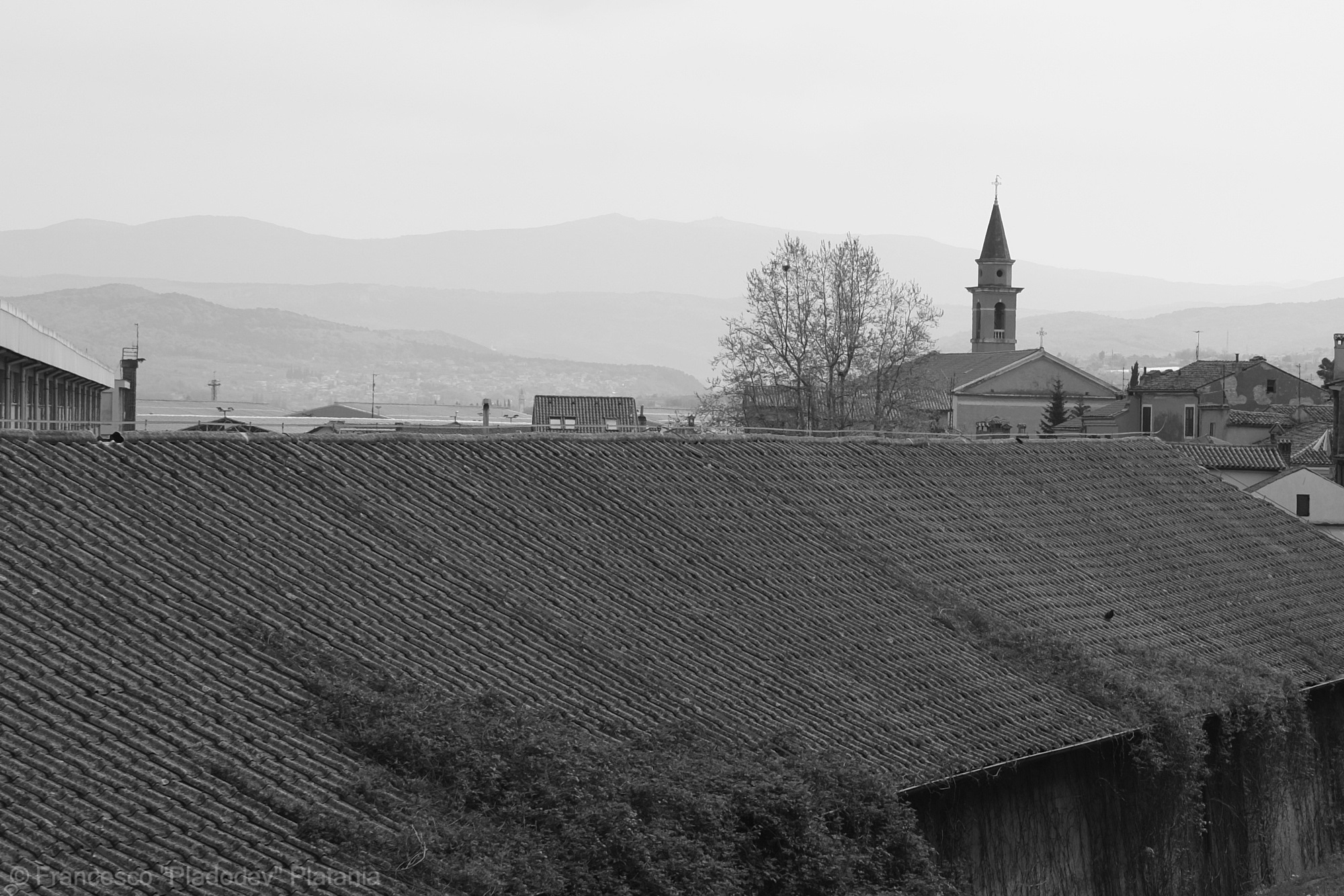 Capodistria...