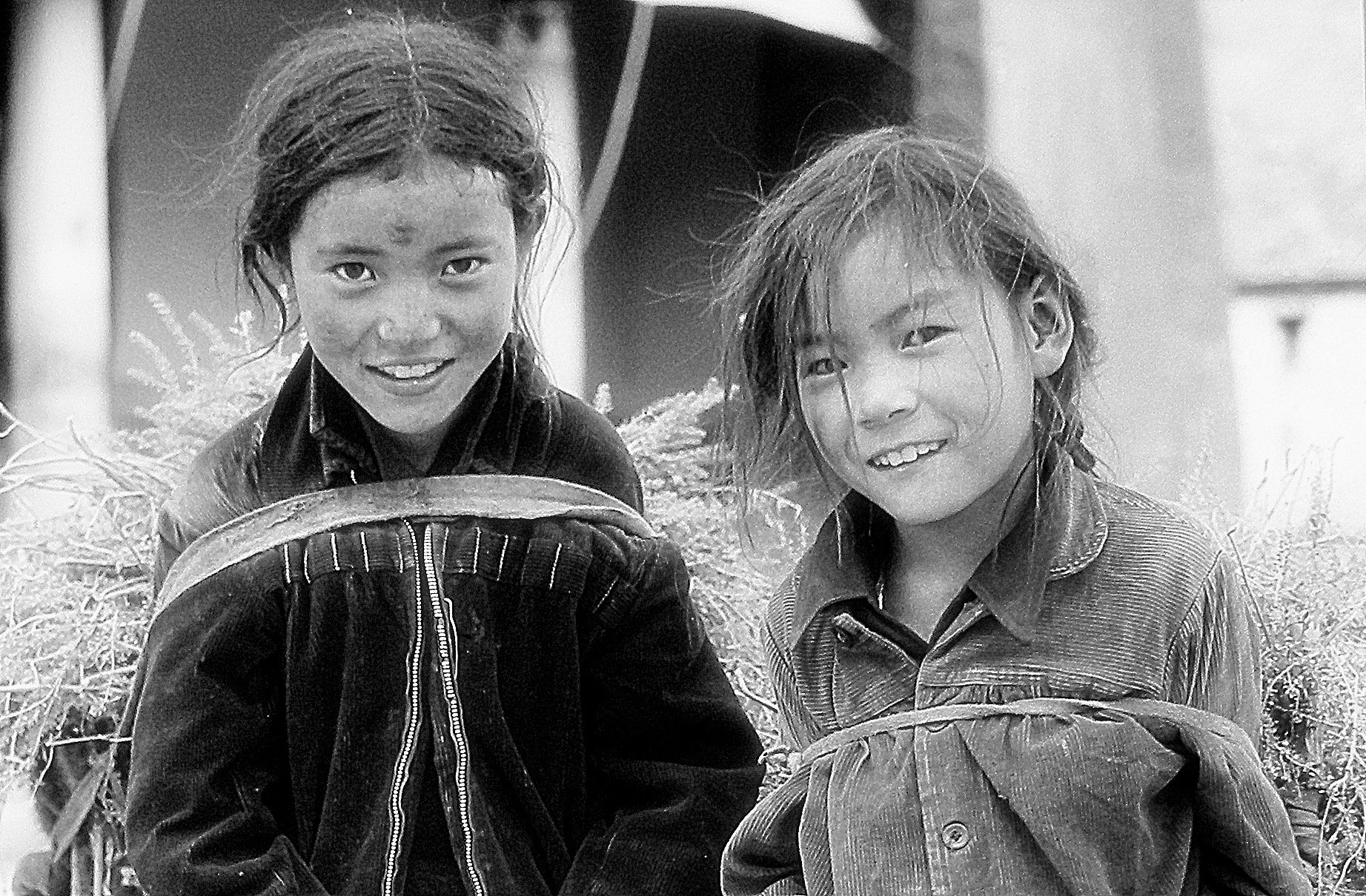 Giovani raccoglitrici - Tibet...