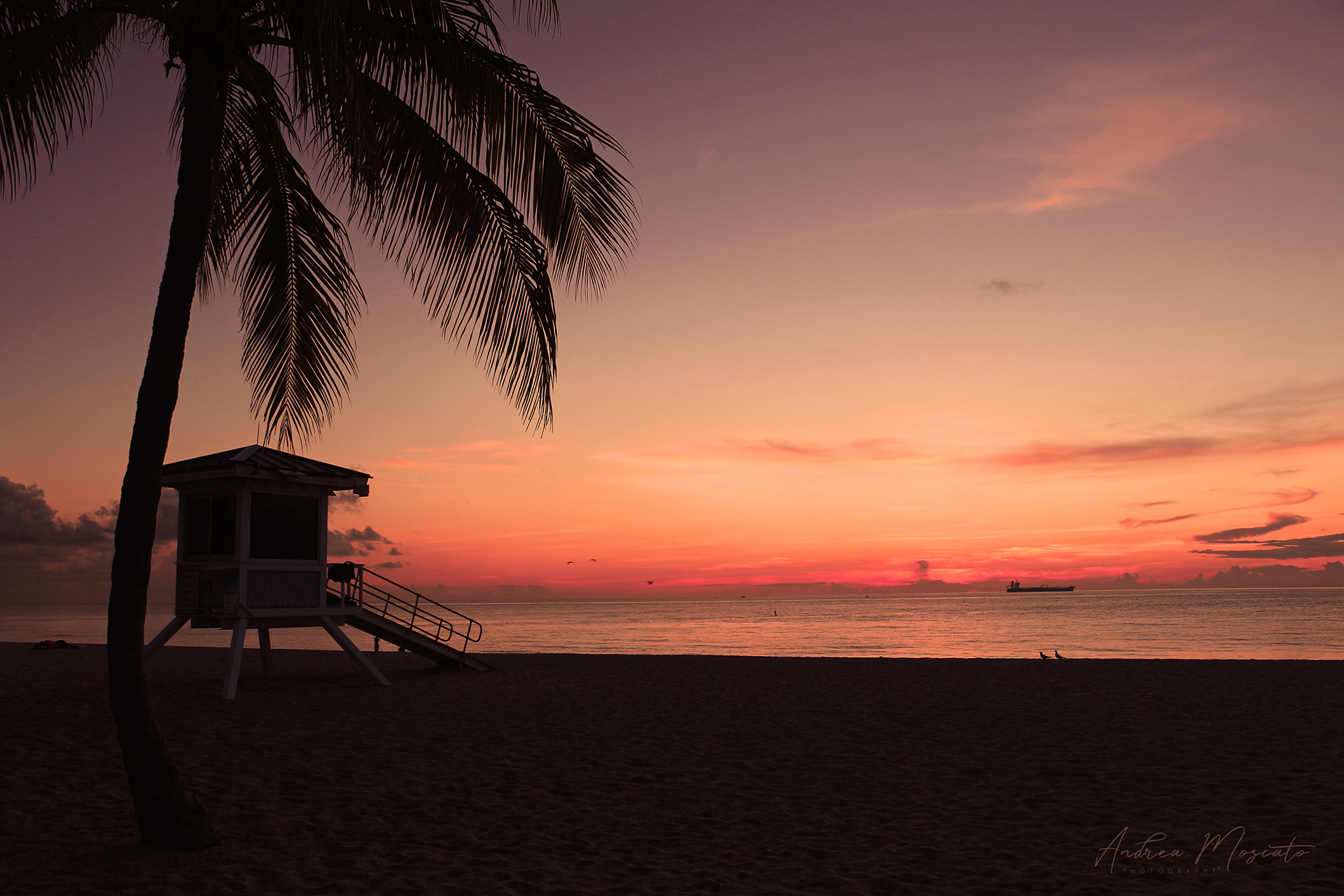 Morning Light - Fort Lauderdale (Florida)...