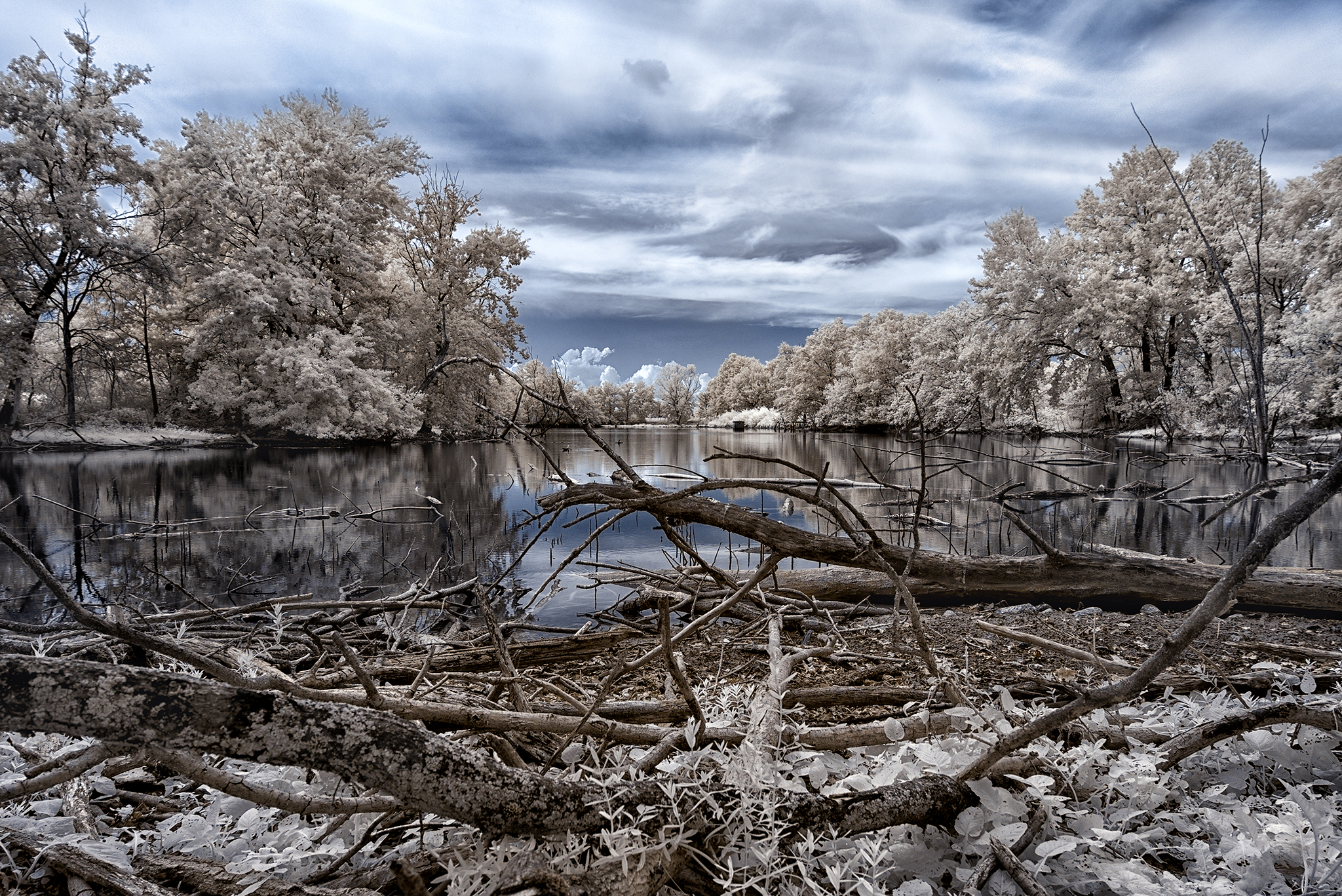 Infrared Vision. Infrared photography performed with N...