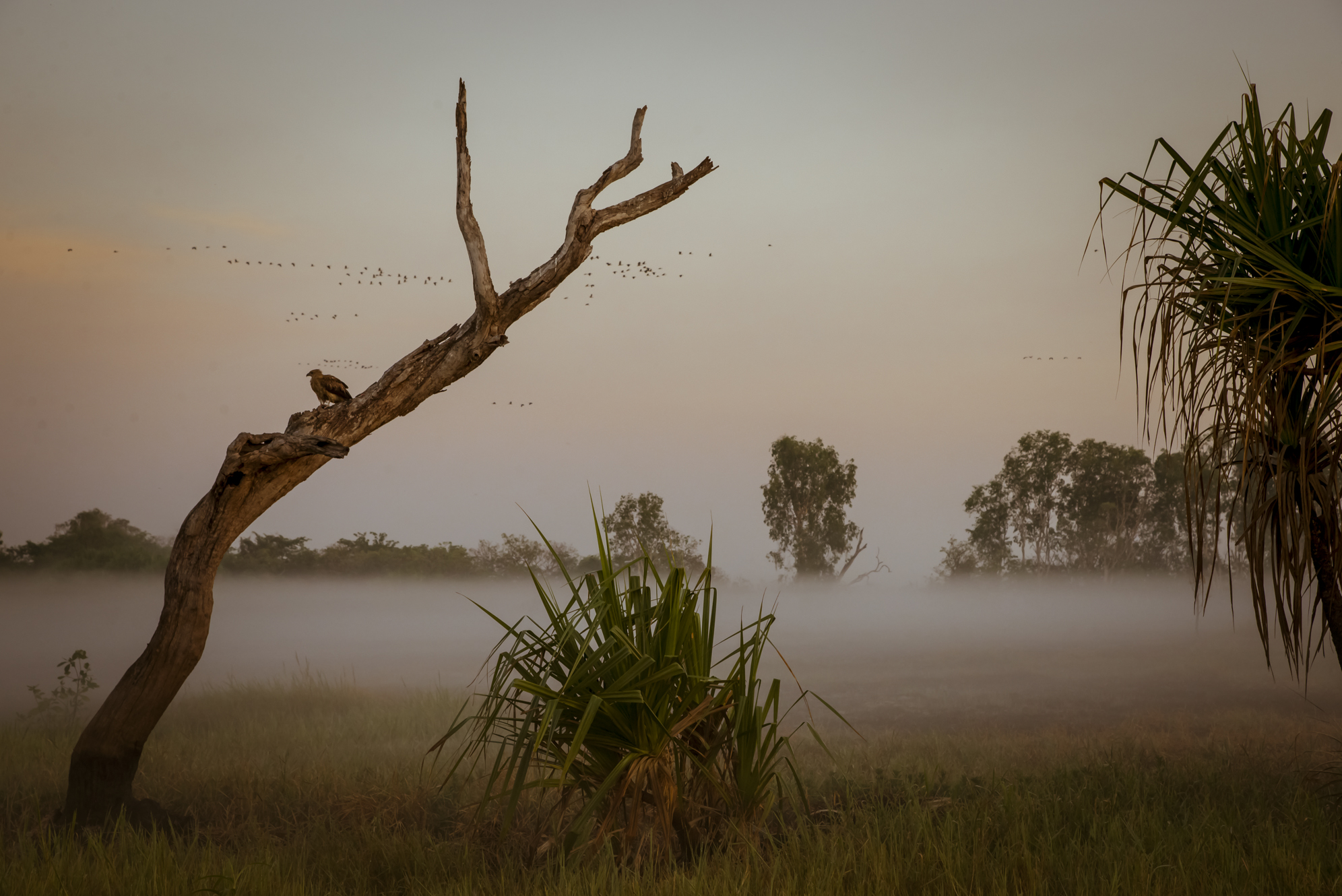 Kakadu National Park Mist...