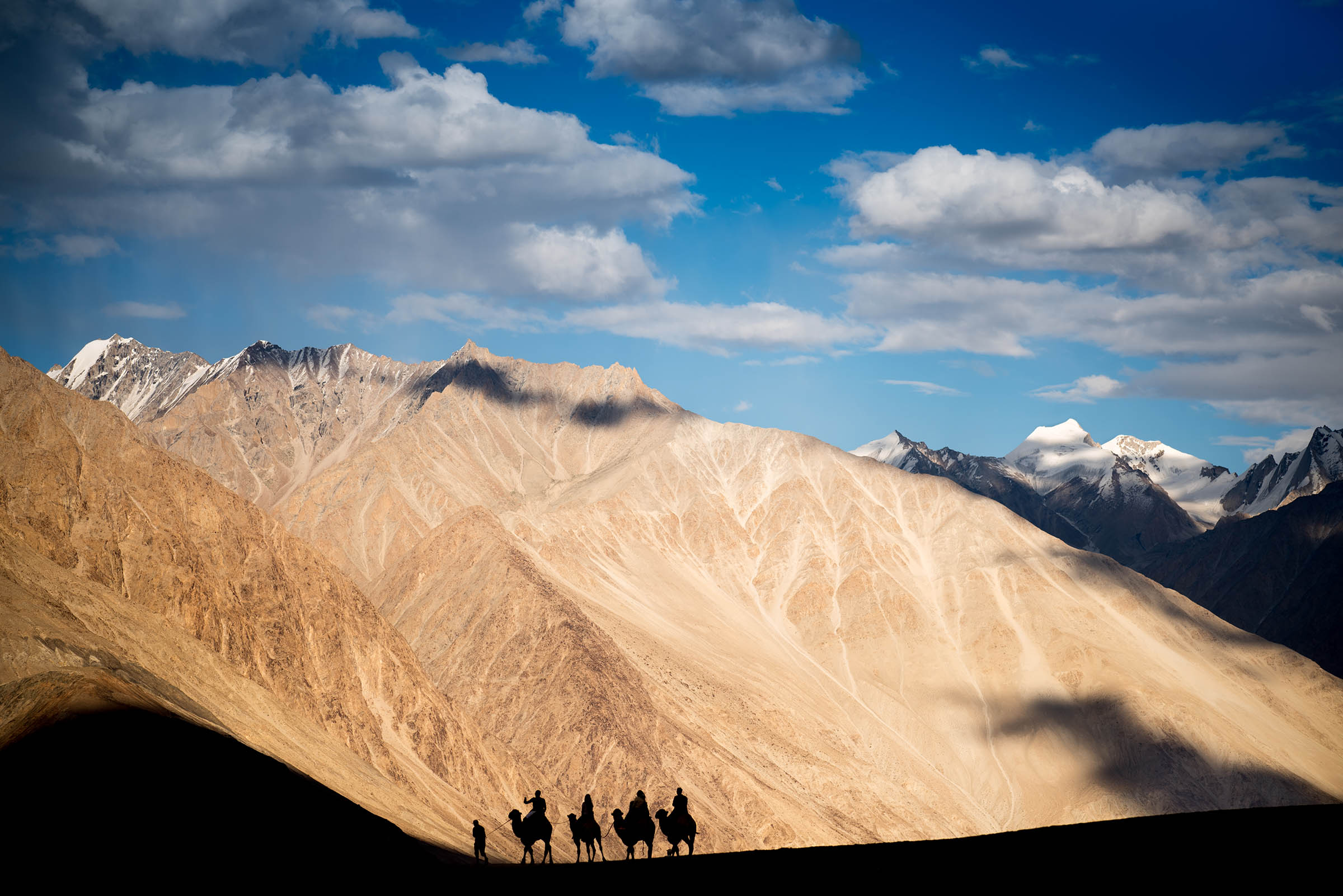 Nubra Valley, Ladakh...