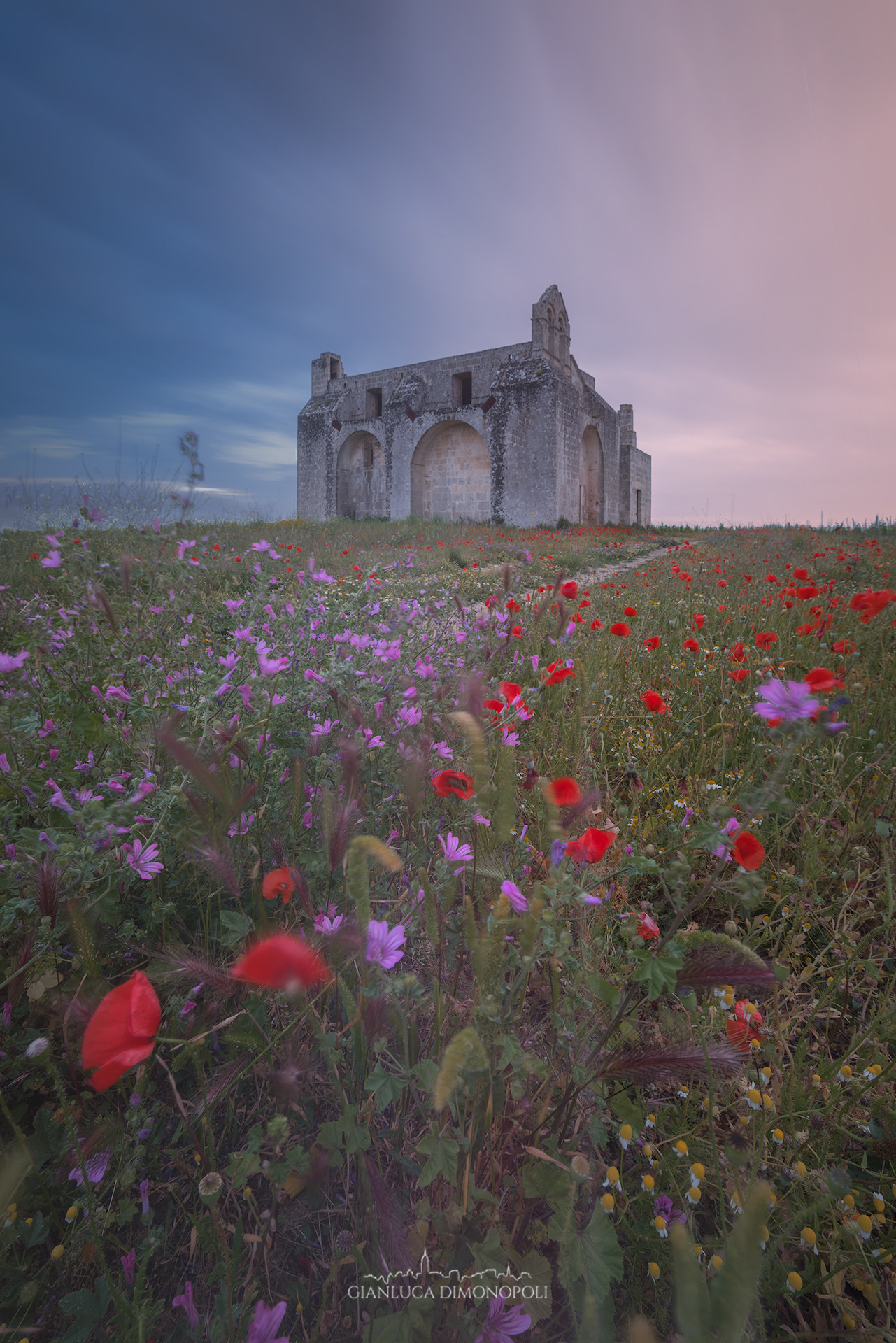 I colori della Primavera, chiesa Santa Maria di Bagnolo...