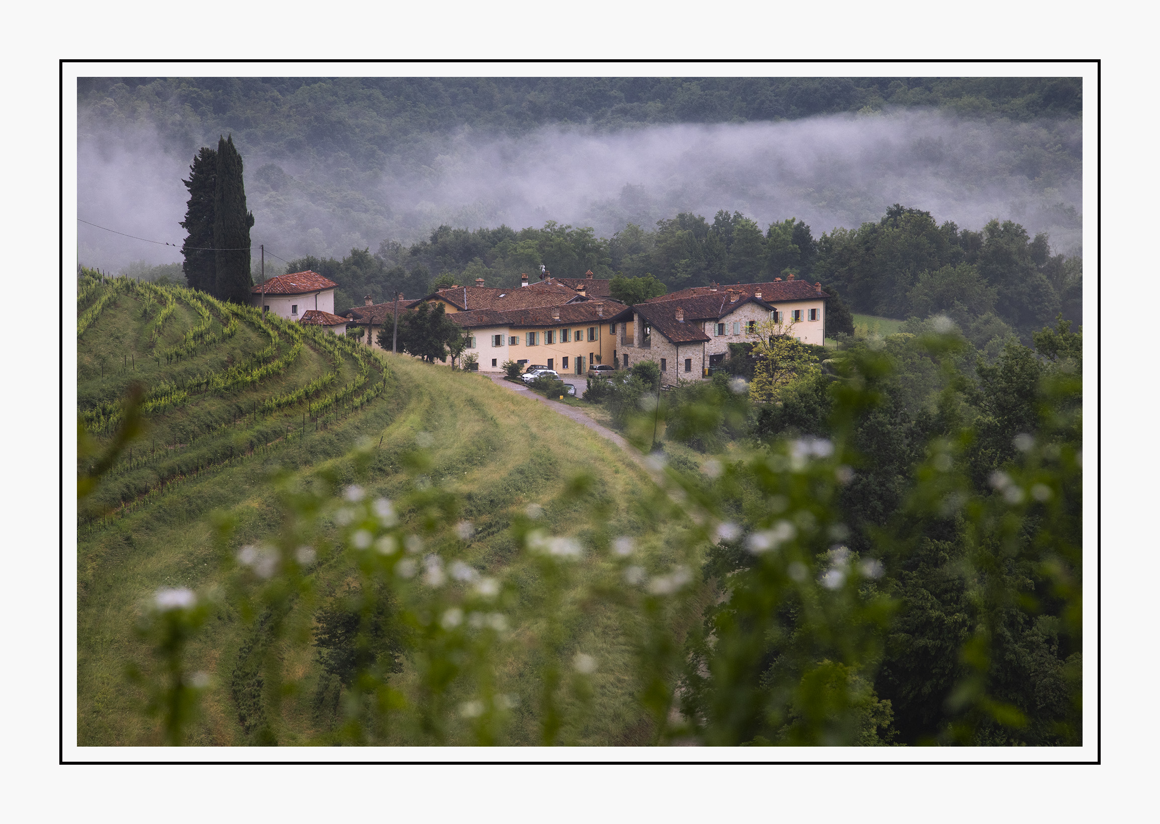 Curone Valley...