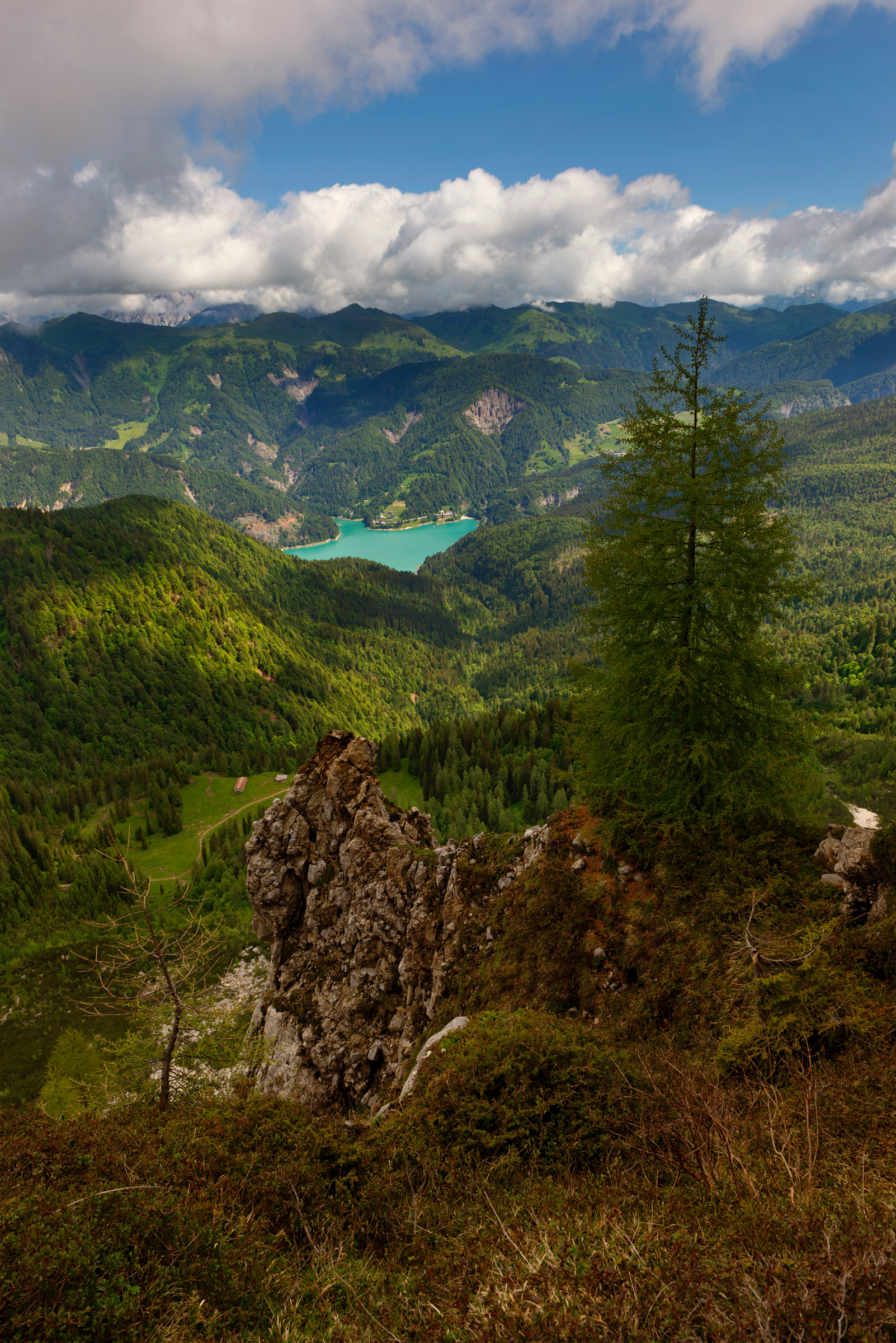 Lake Sauris. Carnic Alps....
