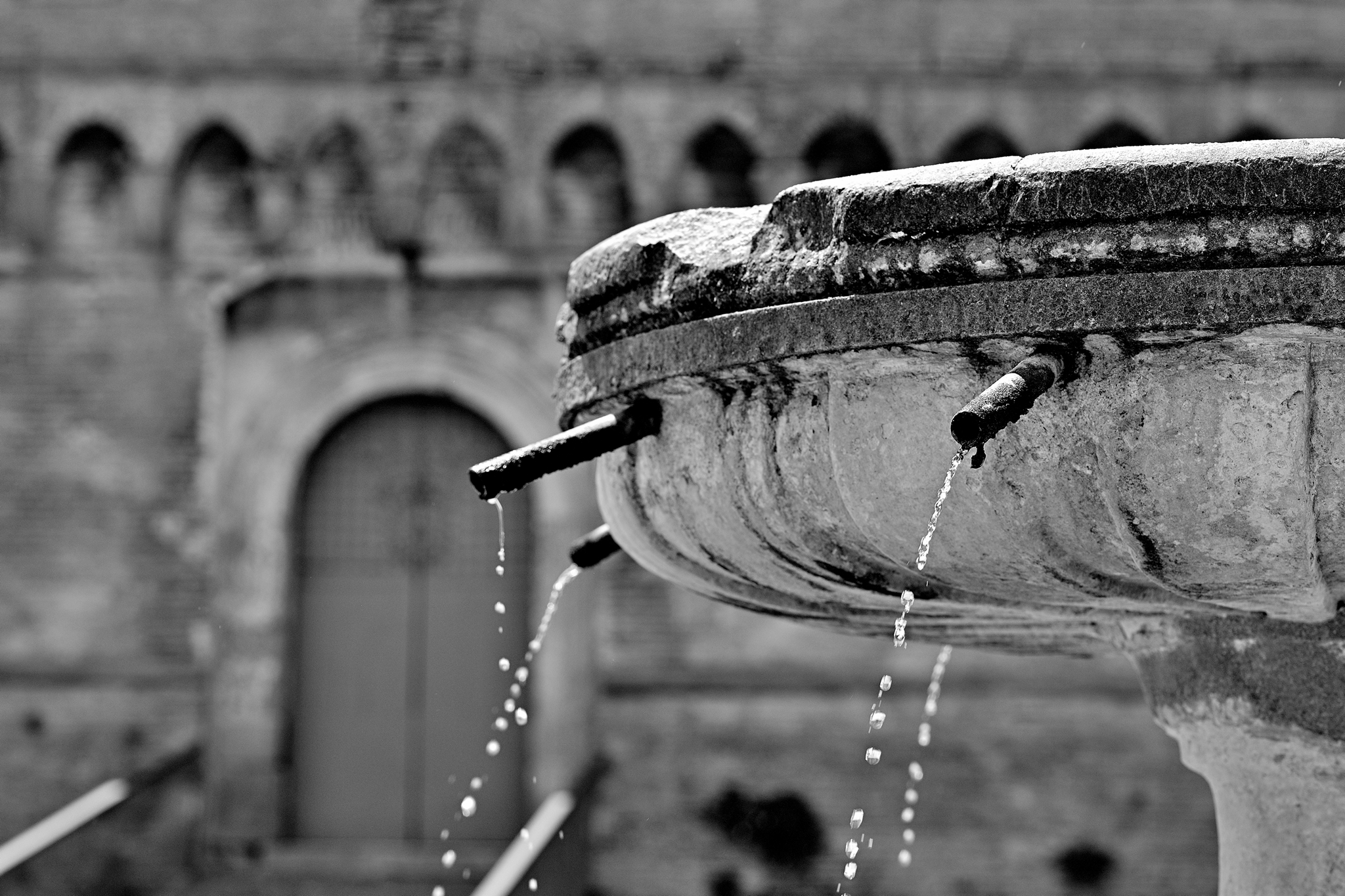 Renaissance Fountain...