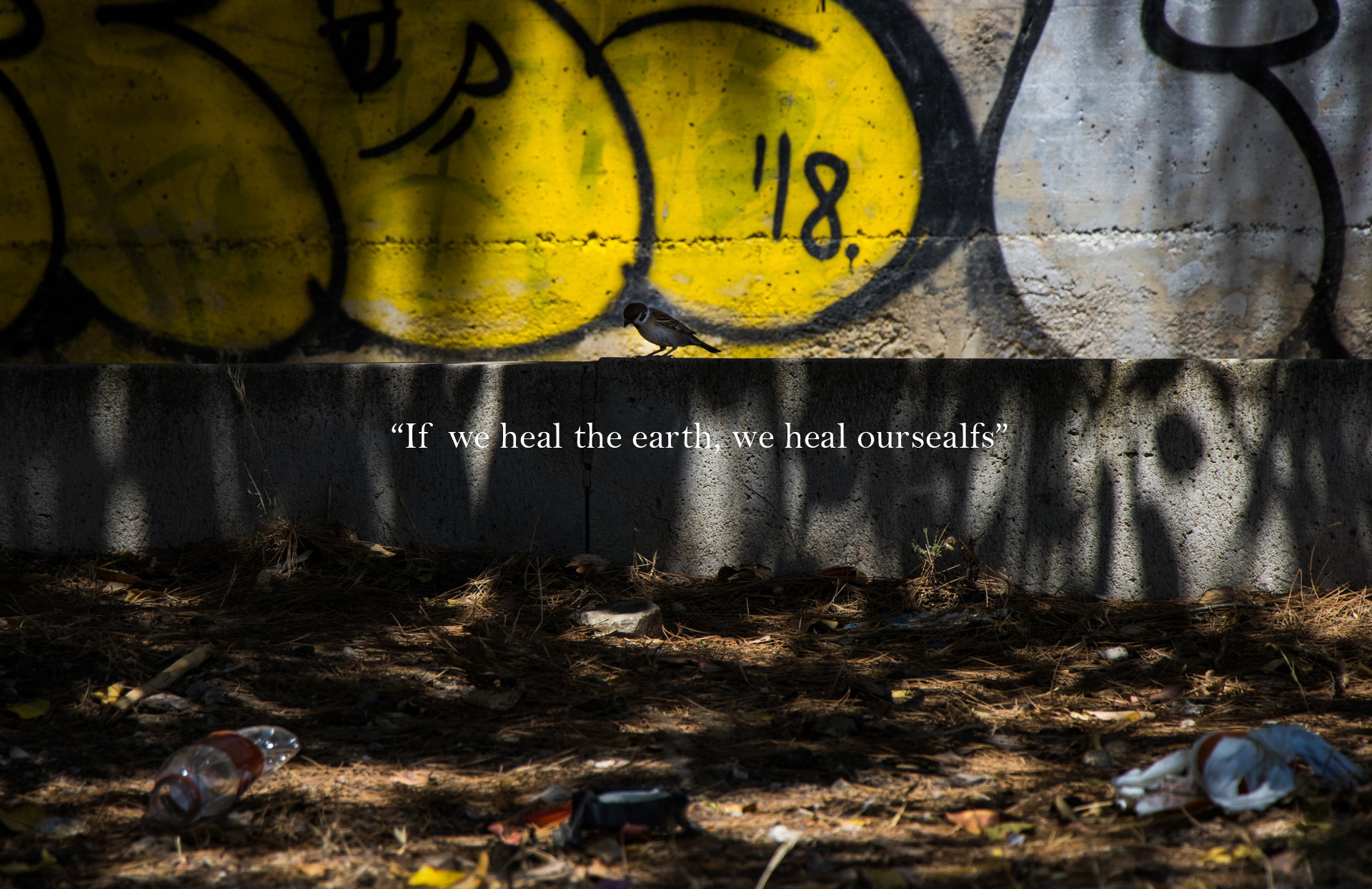 If we heal the earth, we heal ourselfs...
