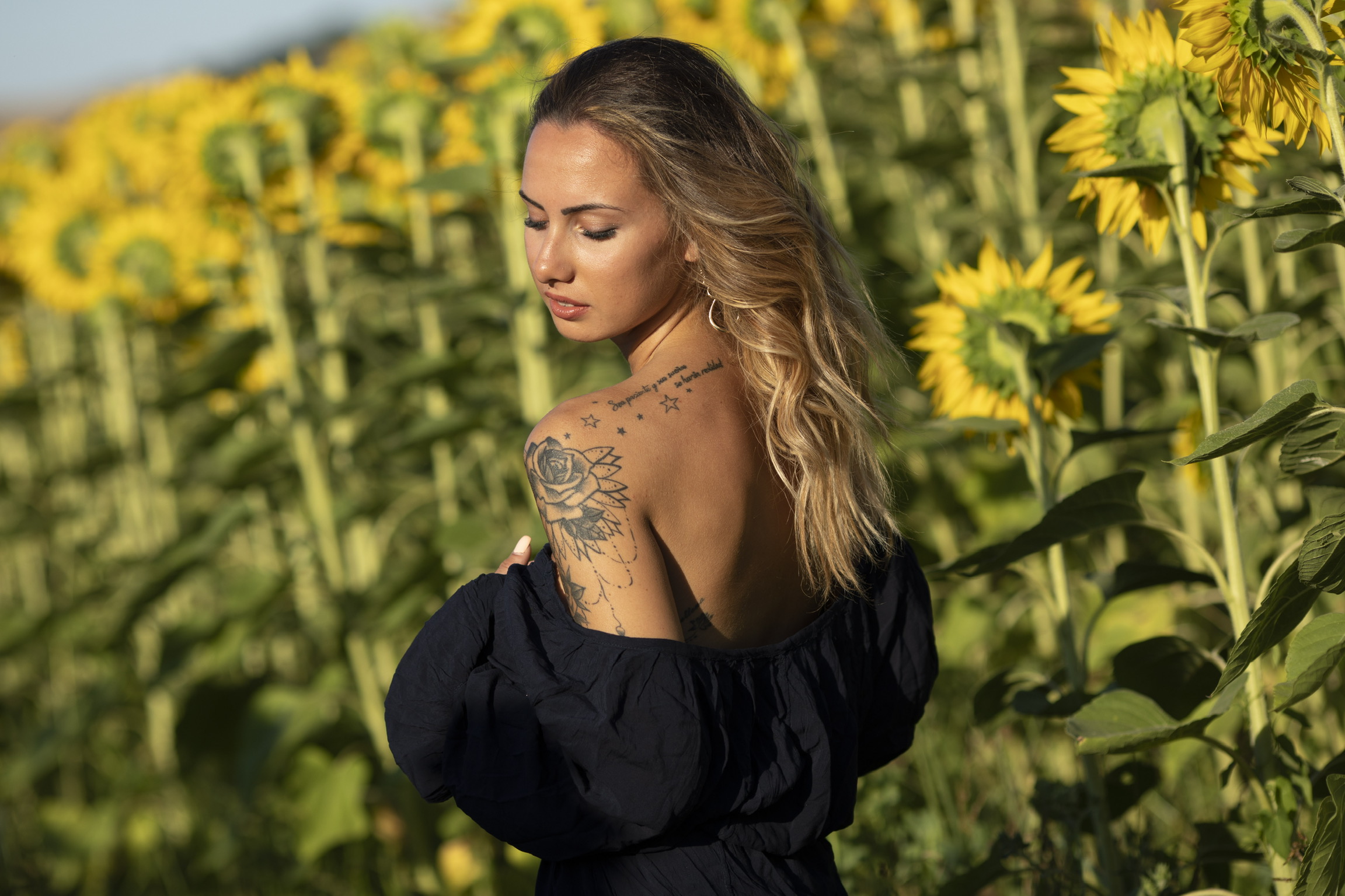 Ilaria Sunflowers ...