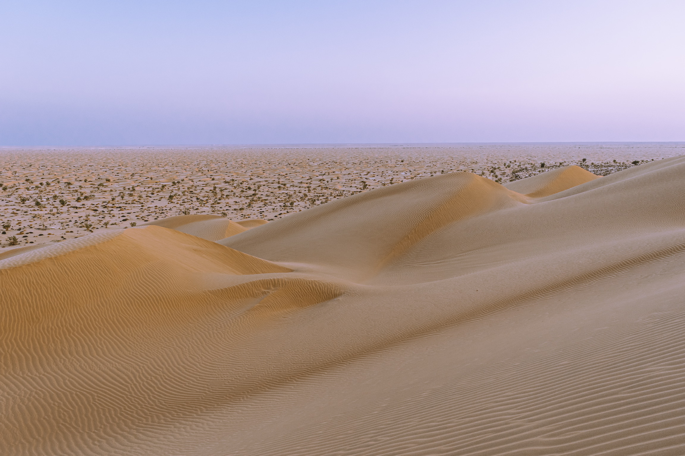 Fourth Empty Desert...