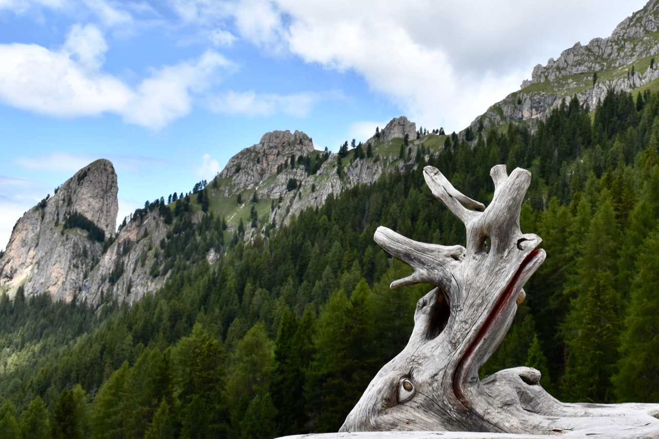 The dragon of the Dolomites found stretched out by the mountaineer...