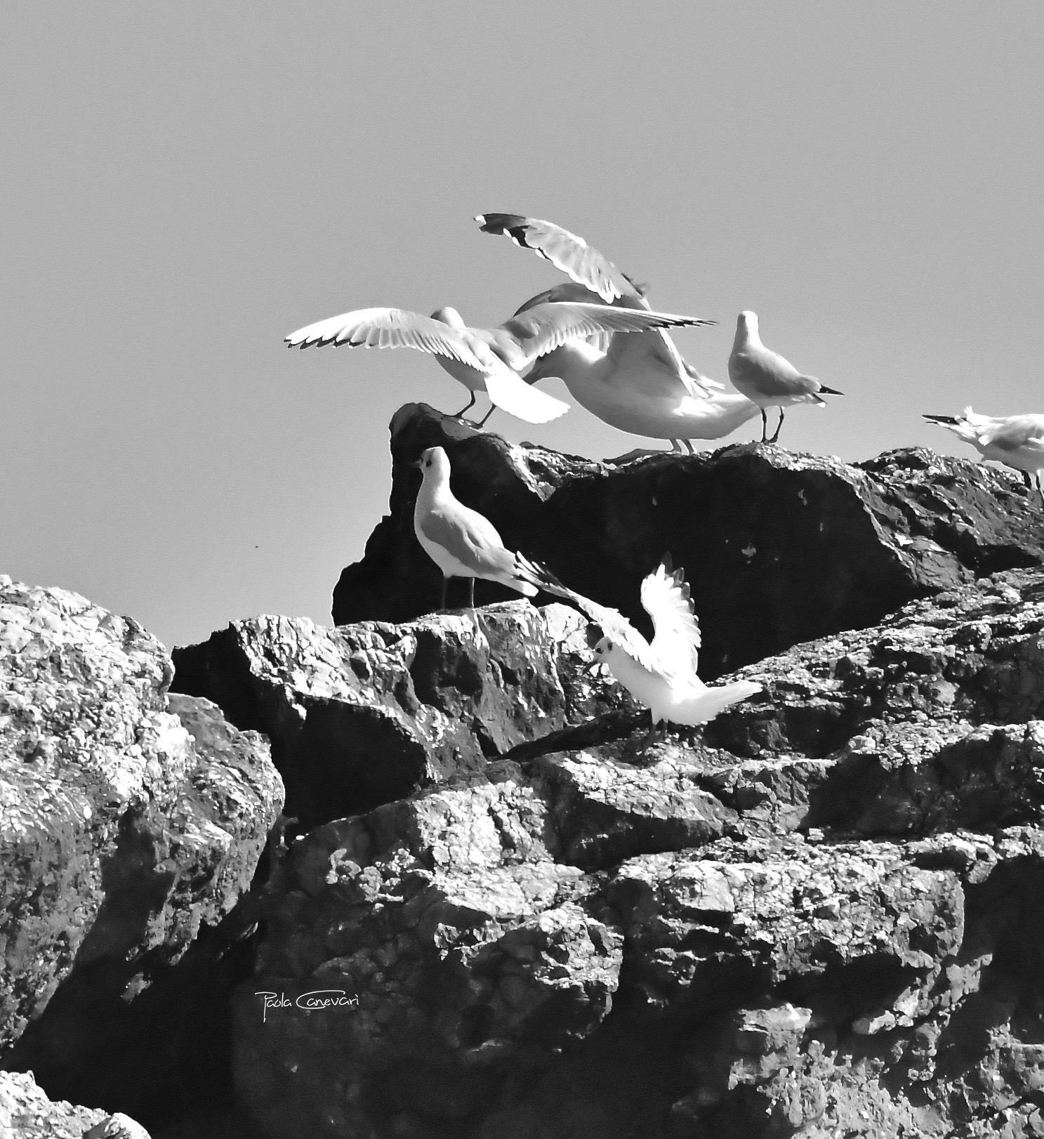 Untitled Photo...