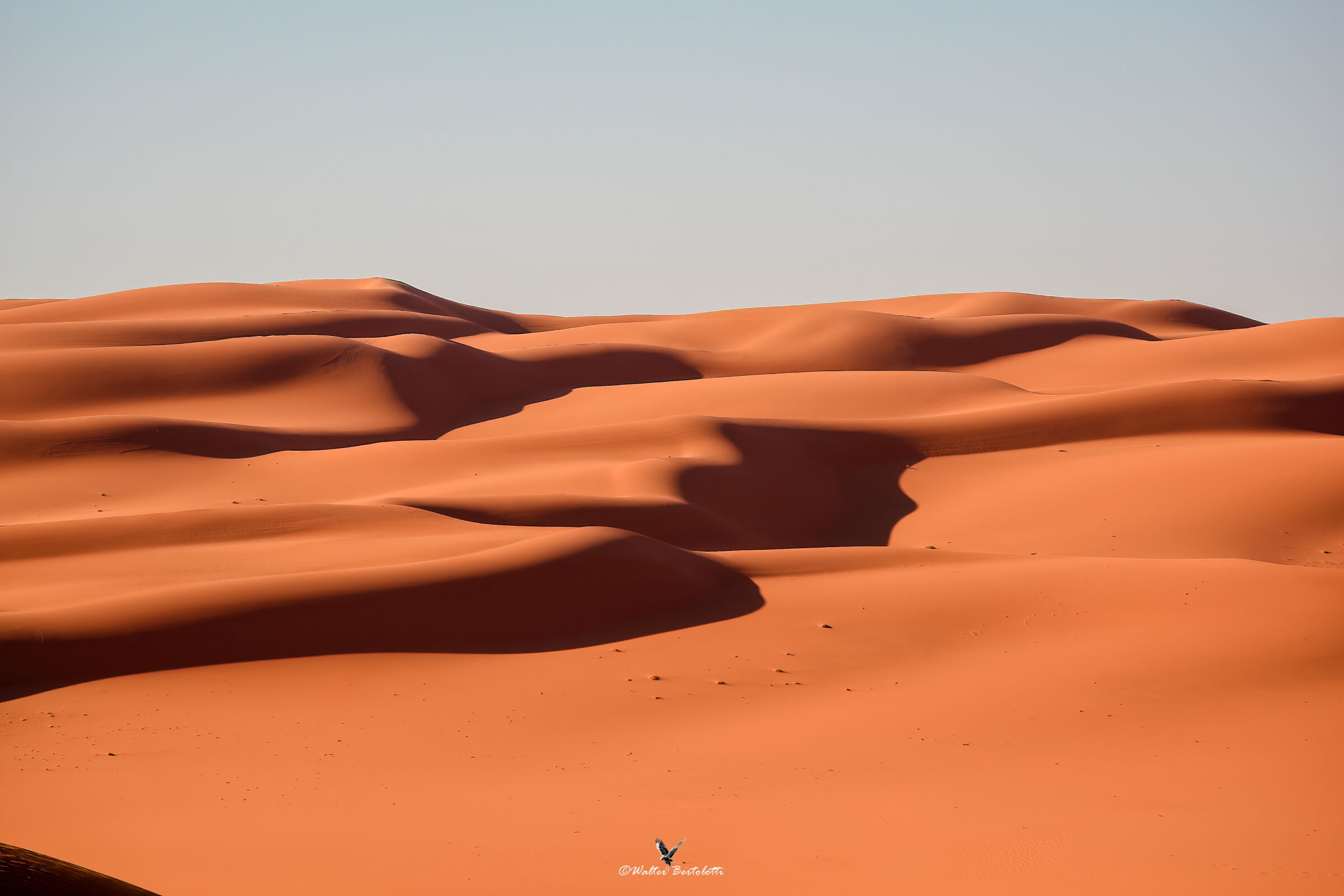 Libyan Sahara ...