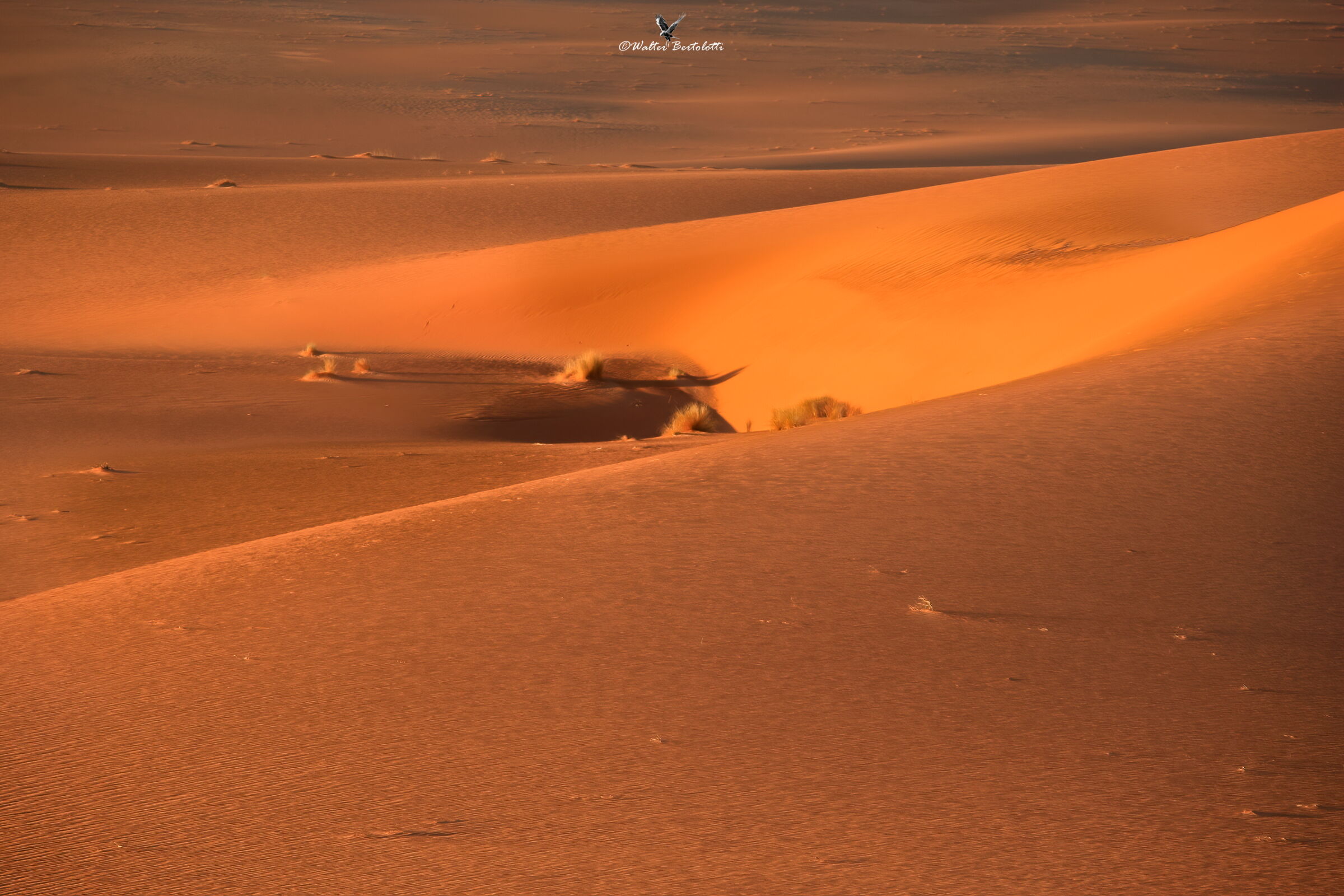 Libyan Sahara ...