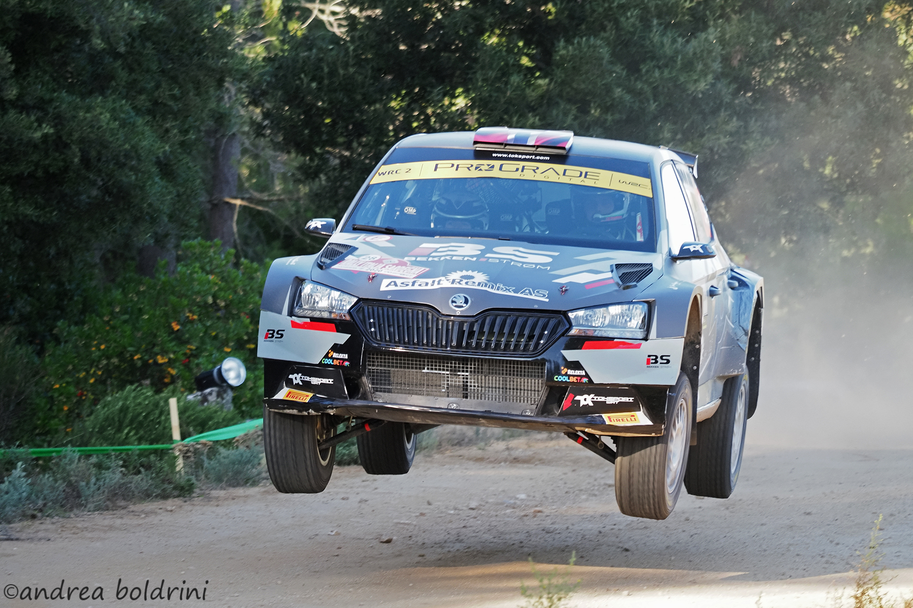 WRC RIS 2020...