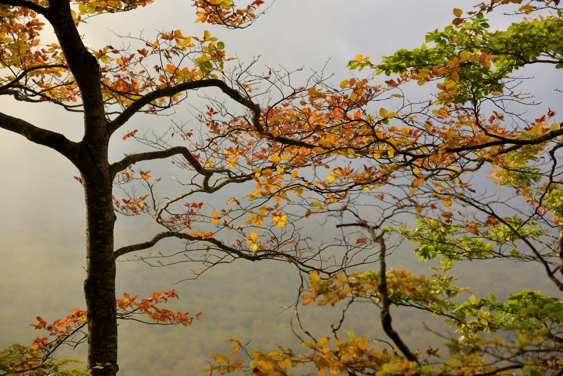 Autumn in Abruzzo...