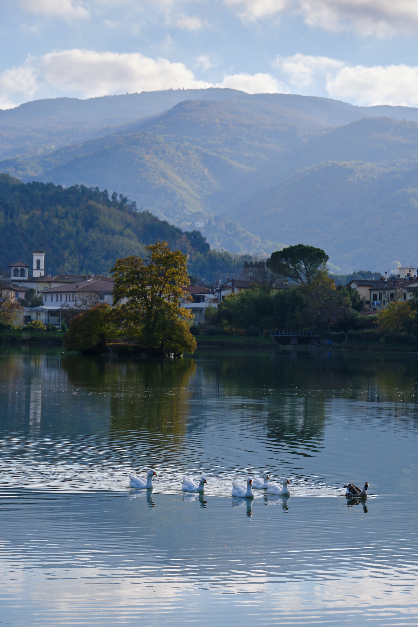 Lake Montelleri - Vicchio...