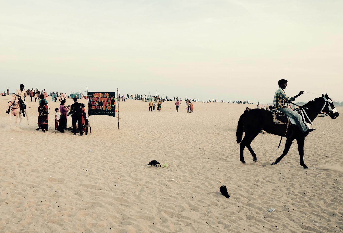 madras1 property...
