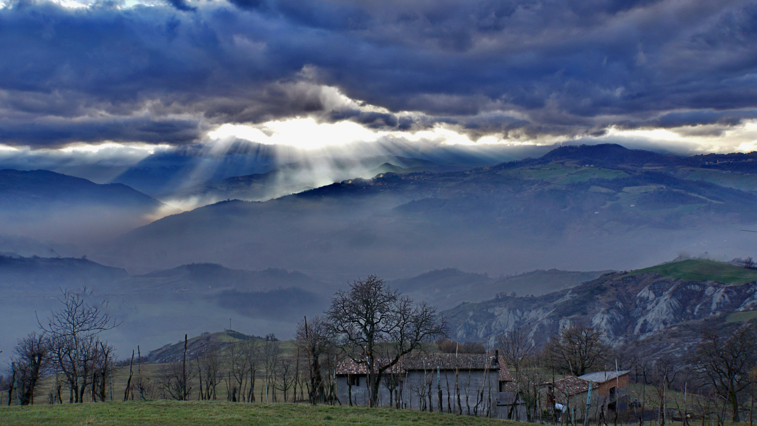Untitled Photo...