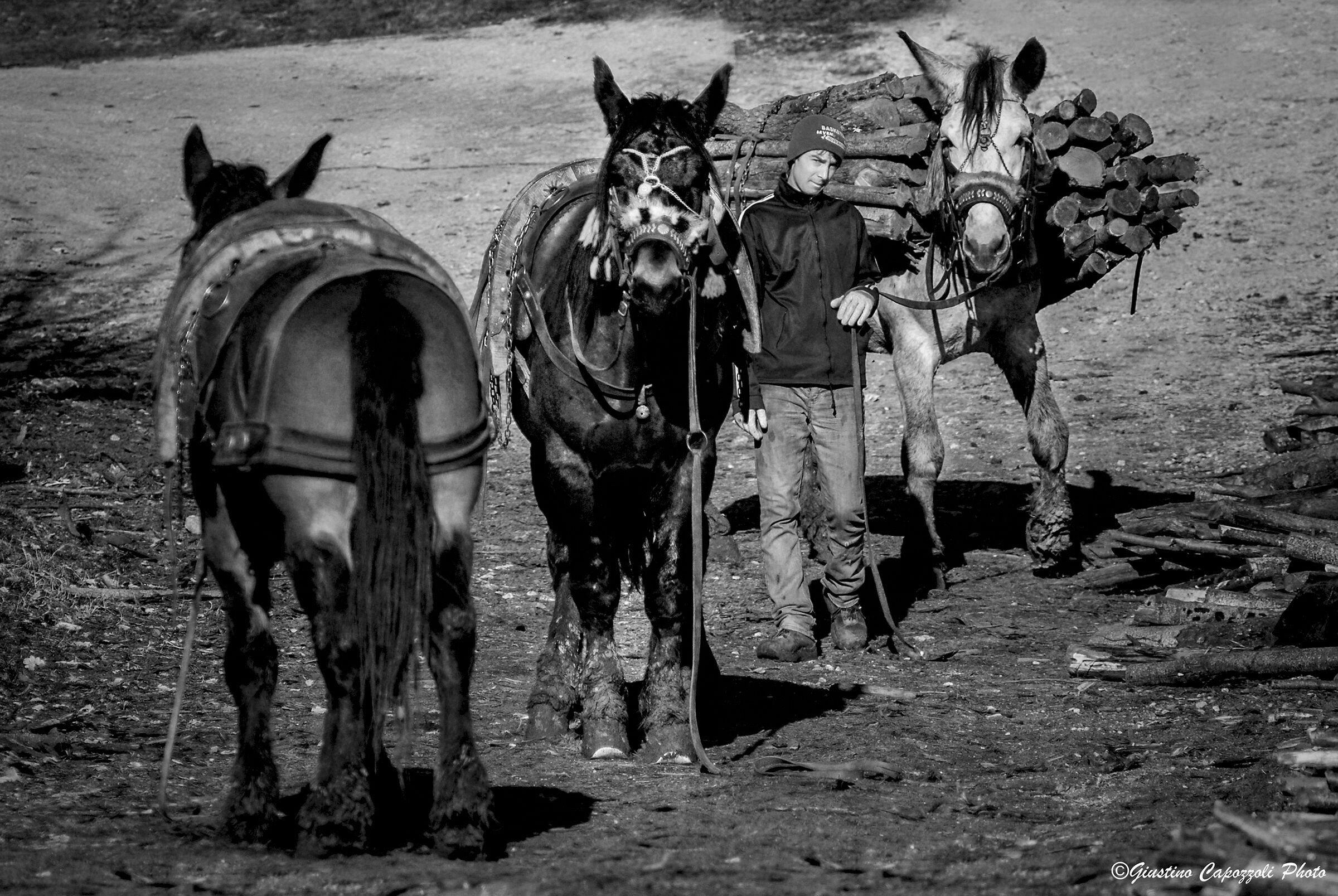 Mule tracks old crafts new generations...