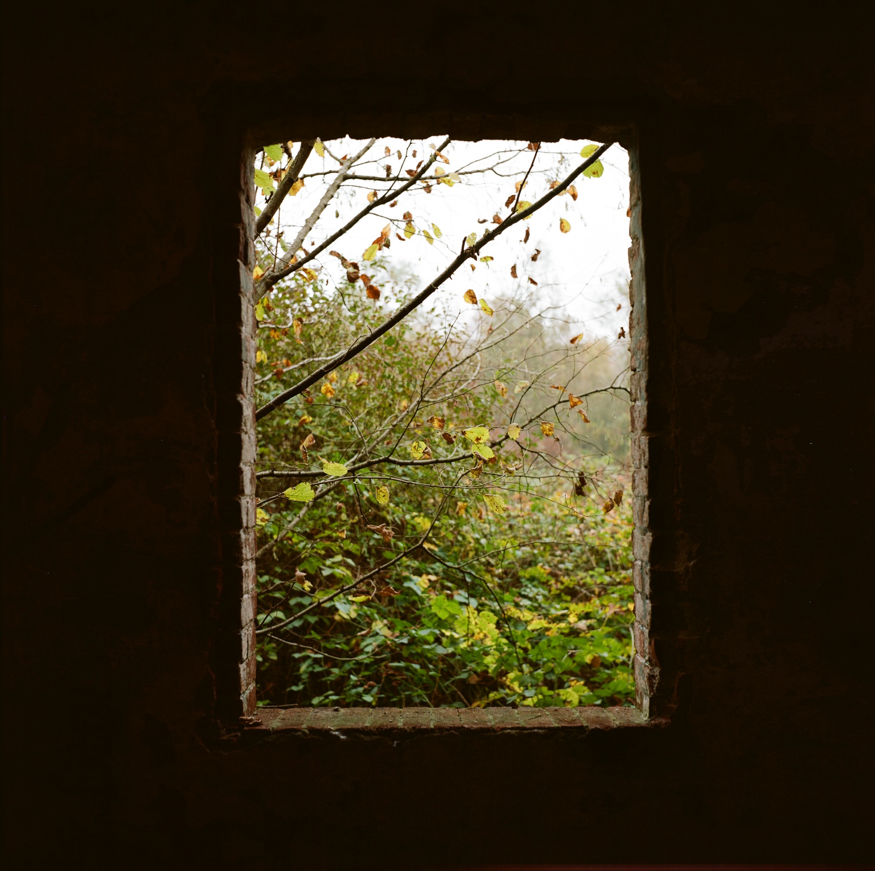 Una finestra abbandonata nella natura...