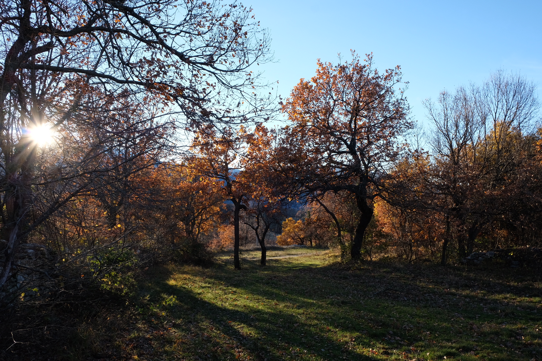 Ombre d'autunno...