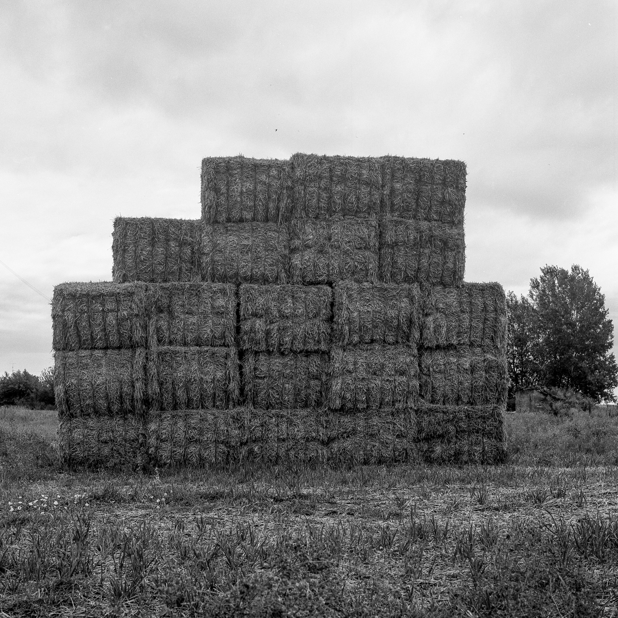 Untitled Photo...