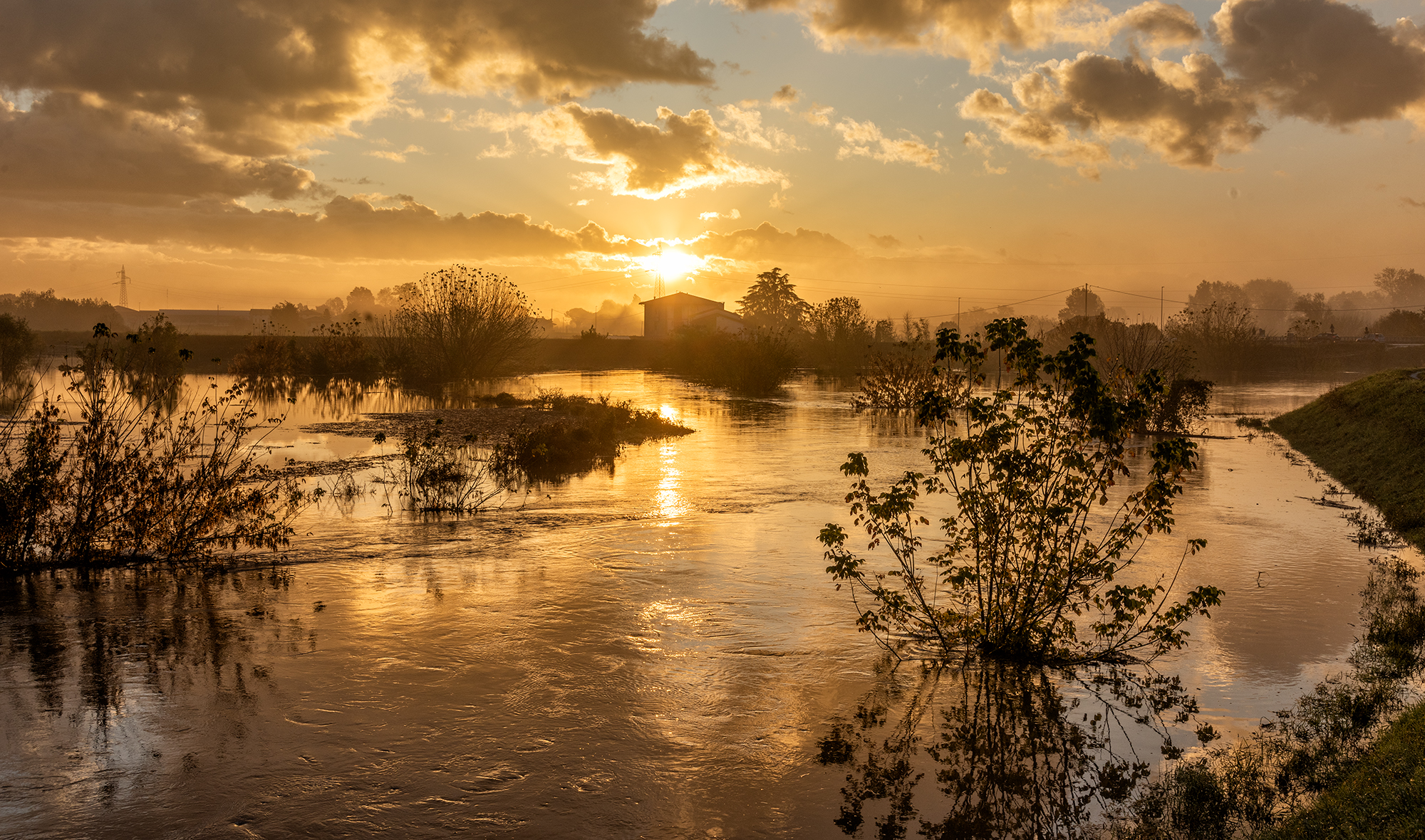 After the flood...
