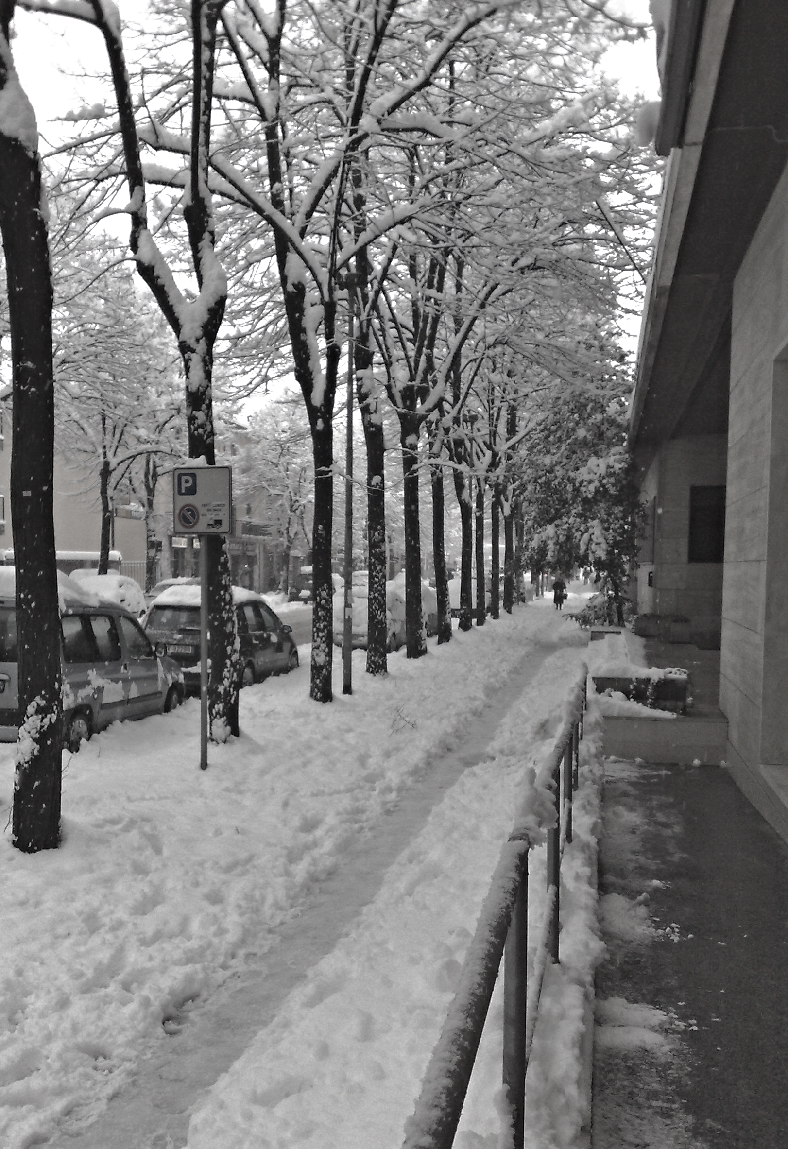 Snowfall in Pavia in January 2009...