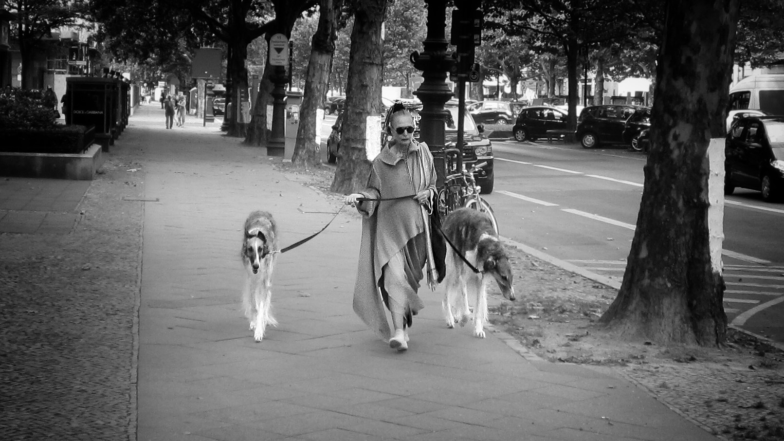Berliner Dame mit Windhunden...