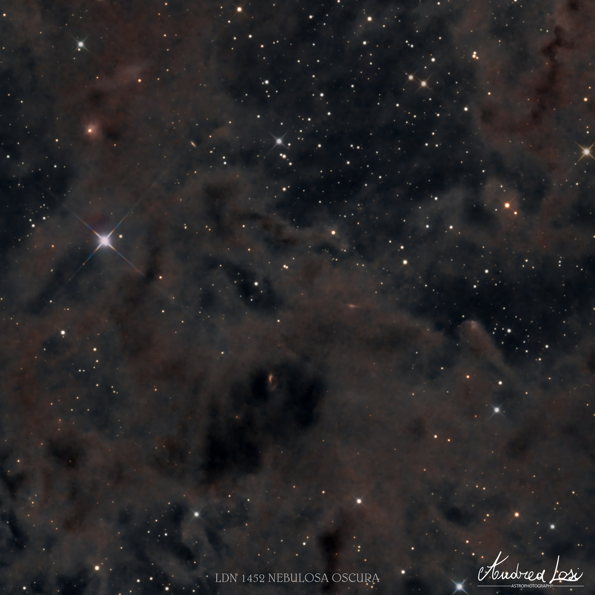LDN 1452 dark nebula...