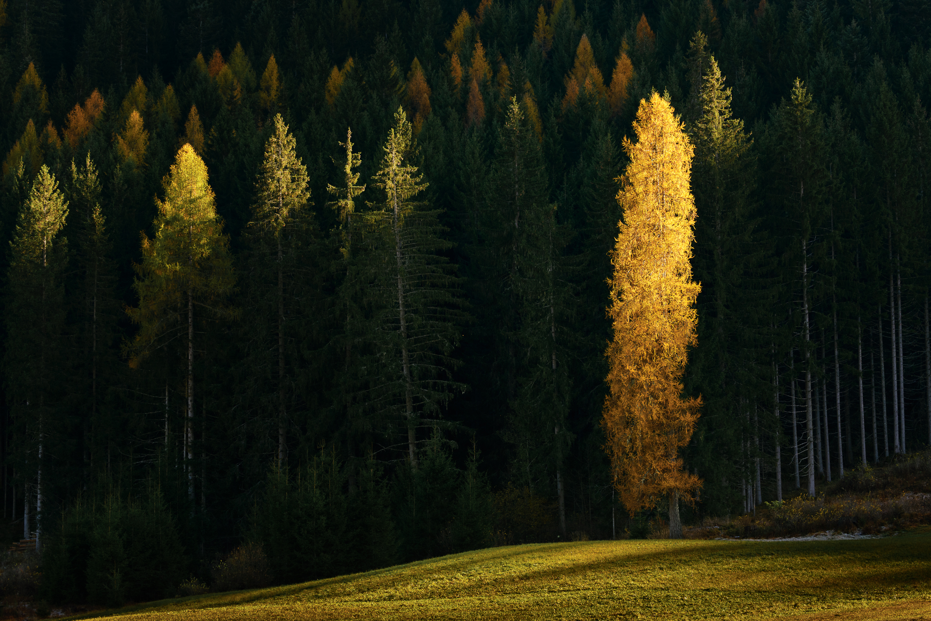 Untitled Photo...