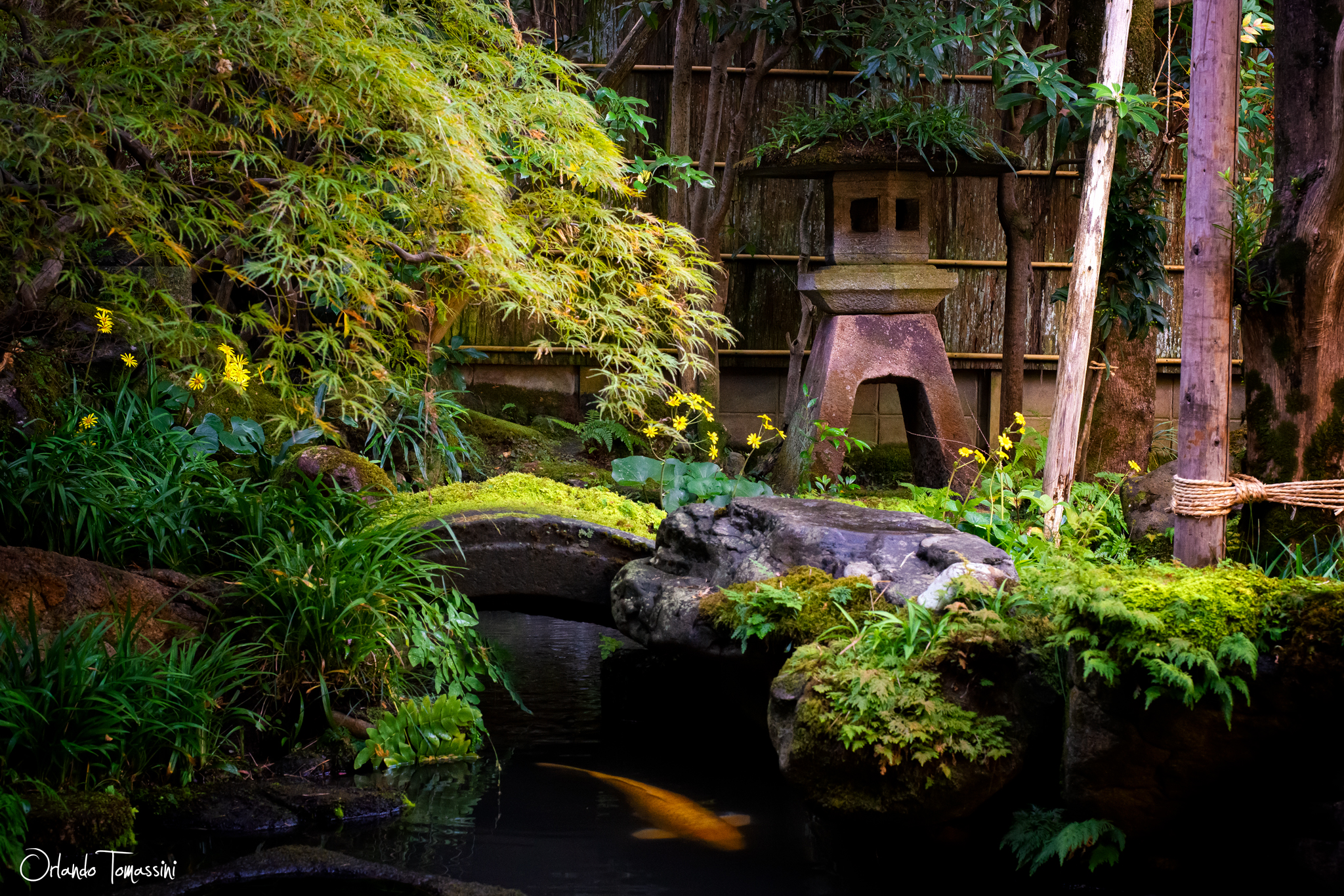 The Nomura Garden...