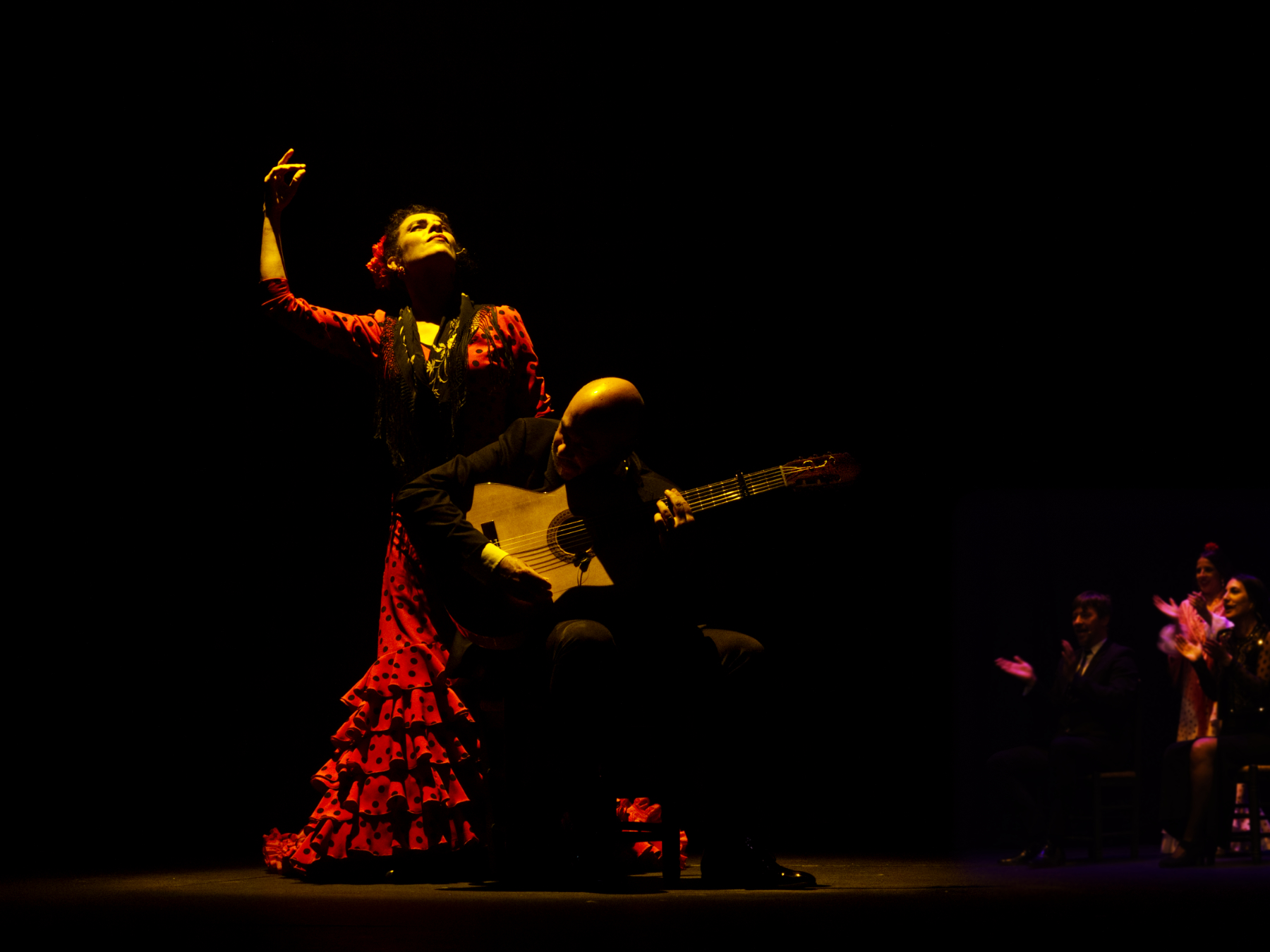 Flamenco 1...