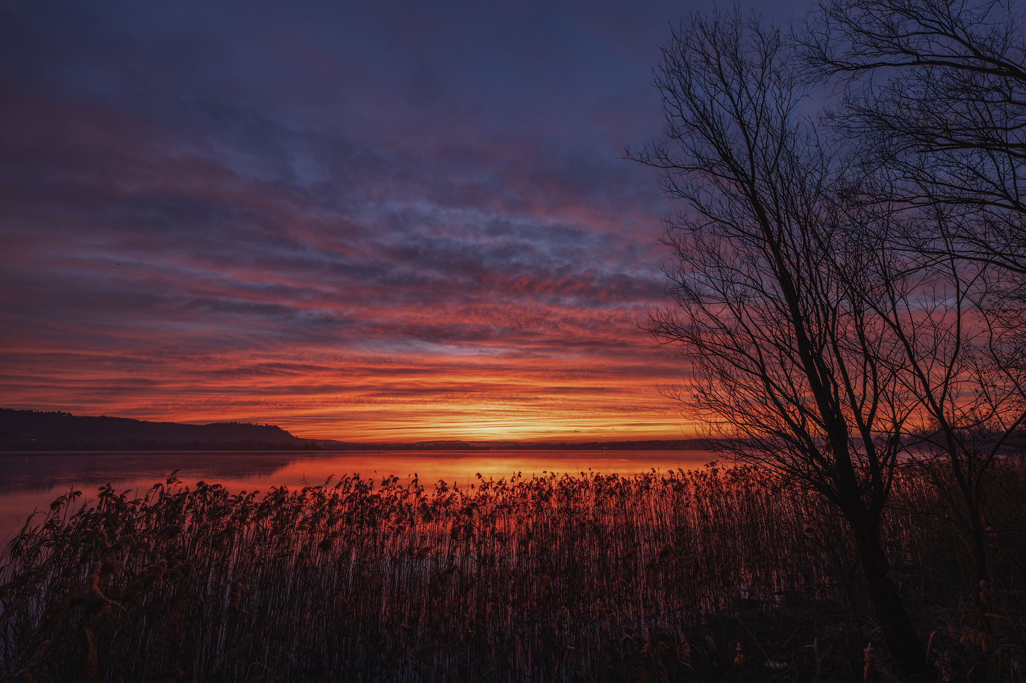 Just before dawn, Dormelletto, Lake Maggiore...