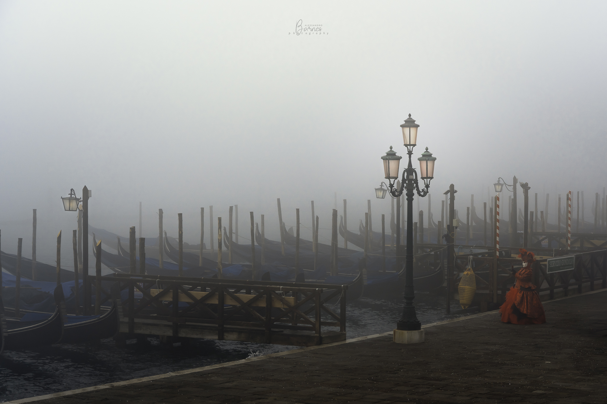 The Lady in Red -Venice Carnival 2024-...