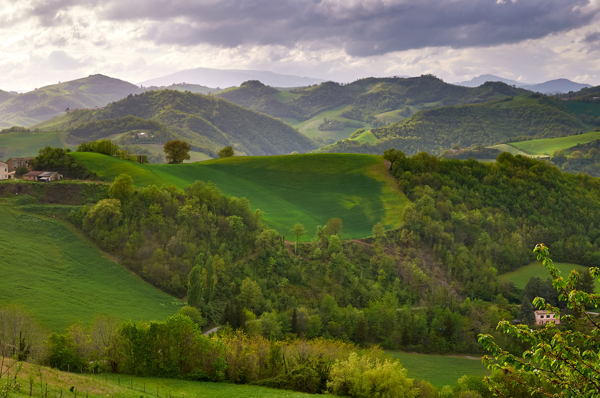 PARISH CHURCH OF CAGNA-MARCHE...