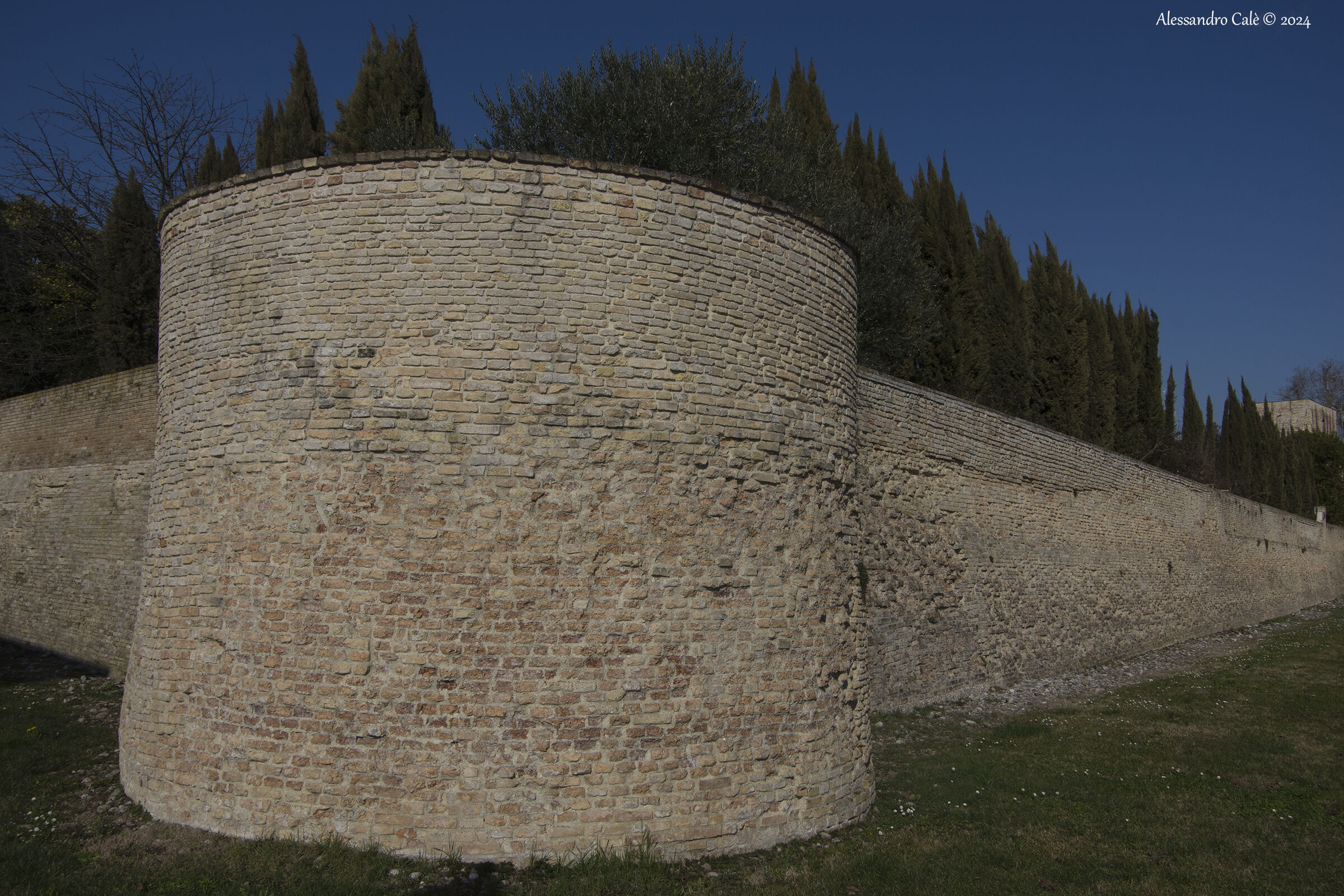 Cordovado Castle Walls 5459...